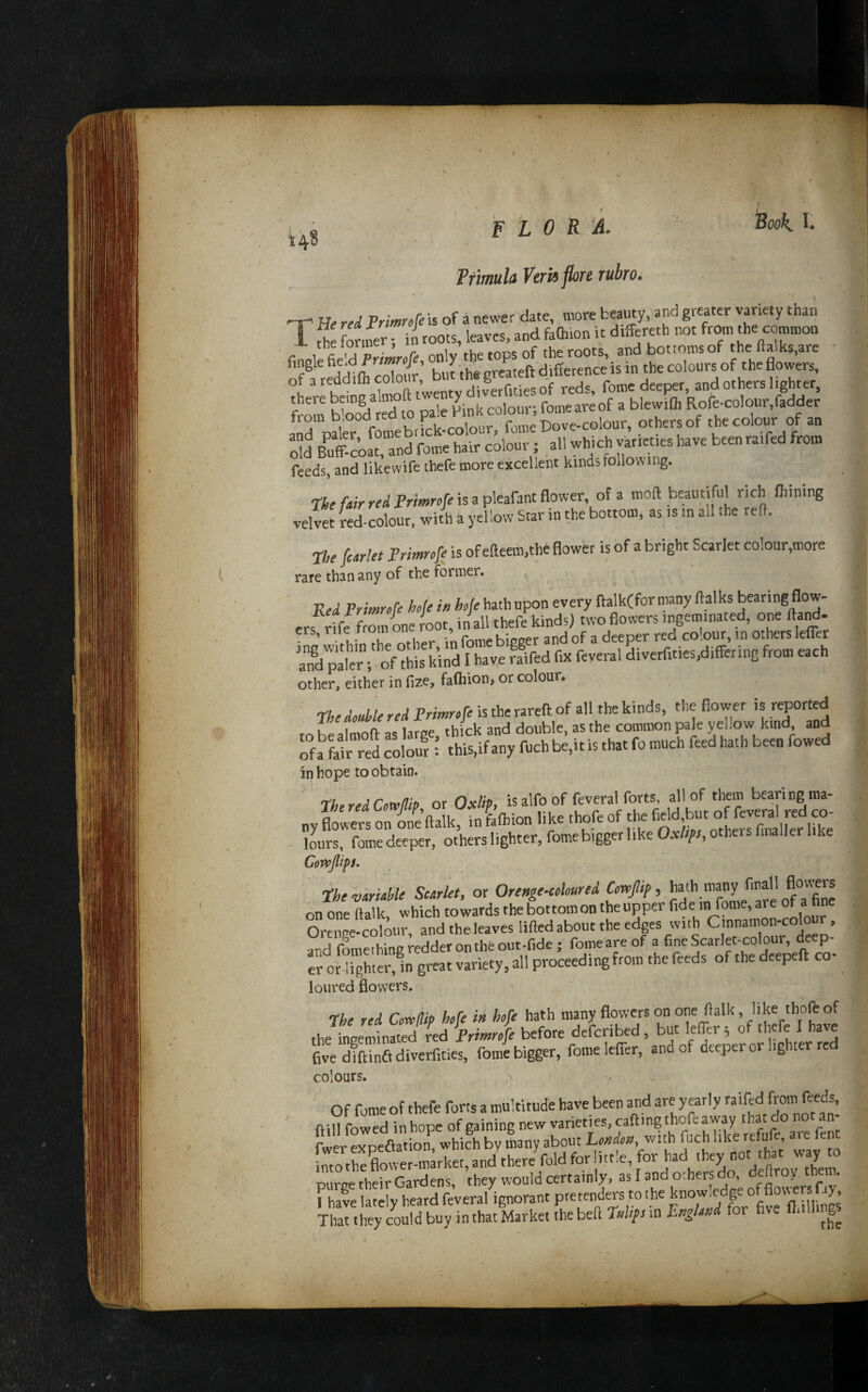 l- flora. Primula Verhflore rubro. ‘BooK I. T- He red Frimrefeh of a newer date, more beamy, and greater variety than T the 7onZ; in roots, leaves, and faftion it d.ffereth not from the common fddllh cXfr’ bi t thl greateft difference is in the colours of the flowers, of a redd ilh colour, p . y j.gj. fome deeper, and others lighter, S b'oodtd to pale blit colour; fome are of a blewifli Rofe.colour,fadder troin °Jr f , fome Dove-colour, others of the colour of an oW BSr-coat,“and fome hair colour; feeds, and likewife thefe more excellent kinds following. tke fair red Primrefe is a pleafant flower, of a moft beautiful rich Aiming velvet Ved-colour, with a yellow Star in the bottom, as is in all the reft. The fcarlet Primrofe is of efteem.the flower is of a bright Scarlet co!our,more rare than any of the former. ' Red Primrefe hofe h hje hath upon every ftalk(for many ftalks bearing flow- other, either in fize, fafliion, or colour. The double red Primrofe is the rareft of all the kinds, the flower is reported to bealmoft as large, thi^ck and double, as the common pale yellow kind and of a fair red colour : this,if any fucb be,it is that fo much feed hath been bowed in hope to obtain. ThoredCowllb ot-Oxlip, is alfo of feveral forts, all of them bearing ma¬ ny flt^sL de ftalk, inUion like thofe of the f Imrs, fome deeper, others lighter, fomebiggerlike Oac///>r, others fmallerl ke Cojvjlips. The variable Scarlet, or Ore»ge.coloured Corvpf, hath many final 1 flowers on one ftalk, which towards thebottomontheupper fide m fome, are of a fine Orenee-colour, and the leaves lifted about the edges with Cinnamon-colour, and fLeihing redder on the oiit-fide ; fome are of a fine Scarlet-colour, deep¬ er or lighter,1n great variety, all proceeding from the feeds of the deepeft co- loured flowers. The red Cow(lip hofe in hofe hath many flowers on one ftalk, like thoft of ,h -nneminated red Primrofe before deferibed, but lefler; of thefe I have fivediftinftdiverfities, fome bigger, fome lefler, and of deeper or lighter red colours. • - Of fome of thefe forts a multitude have been and are yearly railed from feeds, ' fiill fowed in hope of gaining new varieties, calling thofe away that do not an- fwer expeflation, which by many about Londoa, with fuch like refufe, aie fent [moTeCn;rket,and'thereV^^^ purge theirGardens, they would certainly, as I and o.hers , of flowersfay I have lately heard feveral ignorant pretenders to the That they could buy in that Market the bell tulips in Engtaud for five ft.