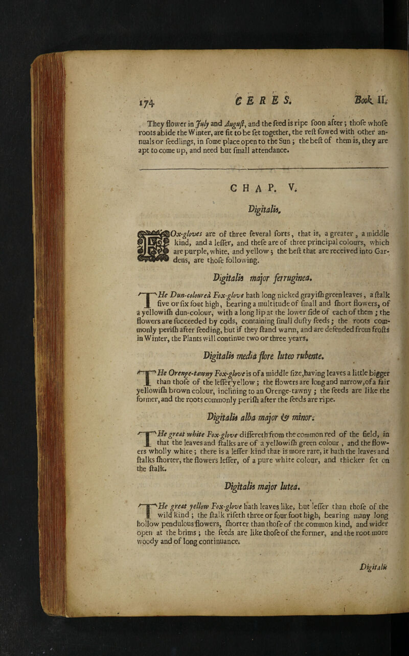 CERES. Book, lie , They flower in Juty and Jugufl.^ and the feed is ripe foon.after; thofe whofe roots abide the Winter, are fit to be fet together, the reft flowed with other an¬ nuals or fleedlings, in flome place open to the Sun; the beft of them is, they are apt to come up, and need but flmall attendance. G H A P. V, Ox-glov€s are of three fcveral florts, that is, a greater , a middle kind, andalefler, and thefle are of three principal colours, which are purple, white* and yellow 5 the beft that are received into Gar¬ dens, are thofle following. THe Dun-coloured Fox^glove hath long nicked gray i(h green leaves, a ftalk five or fix foot high, bearing a multitude of flmall and Abort flowers, of a yellowifli dun-colour, with a long lip at the lower fide of each of them ; the flowers are flucceeded by cods, containing flmall dufty fleeds; the roots com¬ monly perifh after feeding, but if they ftand warm, and are defended from frofts in Winter, the Plants will continue two or three years# Dighalii meJiiflore luteo rubeate. He Orenge-tarvny Fox-glove is of a middle fize,having leaves a little biggi I ^He Urenge-tarvny Fox-glove is of a middle fize,havjng leaves a little bigger X than thofle of the lefler^yellow; the flowers are long and narrow,of a fair yellowifli brown colour, inclining to an Orenge-tawny; the fleeds are like the former, and the foots commonly perifli after the fleeds are ripe. Bigiialk alba major is^ minor; THe great white Fox-glove 6if[GYGt\rirom the commonTed of the field, in that the leaves and ftalks are of a yellowifli green colour , and the flow¬ ers wholly white; there is a lefler kind that is more rare, it hath the leaves and ftalks fliorter, the flowers lefler, of a pure white colour, and thicker flet on the ftalk. great yellow Fox-glove hath leaves like, but lefler than thofle of the J wild kind; the ftalk rifleth three or four foot high, bearing many long hollow pendulous flowers, fliorter than thofle of the common kind, and wider open at the brims; the feeds are like thofle of the former, and the root more Woody and of long continuance; Digitalk