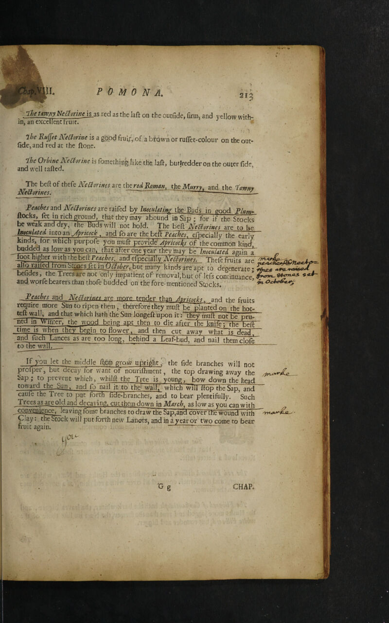 Jhetm/iyNeami^x red as the laft on the outfide, firm, and yellow with- in, an excellent truit. f * ‘.i 'i 7he Rujfet Ne^orine is a good fru^, of a brown or ruflet-colour on the out- fide, and red ac rhe ftone. r ^ the Orbine Keaorine is fomething like the laft, butlredderon the outer fide and well tafied. . ' ’ \ are Roman, thQ Muny^ and the rawftf Reaches and Neliorines are raifed by Inocitlatin^ the Buds in good Rlum^ flocks, fee in rich ground, that they may abound in Sap; for if the Stocks U weak and dry, the Bu^will not hold. The befl NeUormes are to be Jso^ted into zn Jpricock , and foare thebcTPe^hes,^ef^c\^Uy the pnriy u which purpofe youmuff provide of the common kind ^bgdded as low as voucan, thaFafrerone year they inav be l^higher with the bed Peaches, and'^ecially NeBorines. Thefe fruits tom Scones jet injj^ many kinds are apt to degenerate • . befides, the Trees are not ^only impatient of* removal,but of lefs continuance’ and. worfe bearers than thofe budded bn the fore-mentioned Stocks^ gltrwjg^ ‘/n. i _ Fcaches md are more tender than ^ and the fruits require more Sun to ripen them, therefore they muft be planted on the hot- teft wall, and that which hath the Sun iongefl upon it; th^ muft not be pru- ned in Winter, the wood being apt then to die aft^ the knigj rh^ ht^fh time is when they begin to flower, and then cut a wav wh^TTc and fuch Lances as are too long, behind a Leaf-bud, and nail thpriTblr^rZ 'toihc wall, ’ ——- If you let the middle figih rjow upri^^ht,'- the fide branches will not profper', but dFcaylor vvant of nourifhment, the top drawing away the Sap; to prevent which, whilfi the Tree is y^pung, bow down the head toward the Sun, and folii^il it to the wall, which will ItoptheSap, and caufe the Tree to put forth fide-branches, and to bear plentifully. Such Trees asareold and decaying, cut them down in March, as low as you can with ^ coiivgptence, leaving fome branches to draw the Sap^and cover rhp wnnnd ^- C^ay: theotbek will put forth new Lances, and in i year or t\vo come to bear fruit again. • H 01^ Gg CHAP,