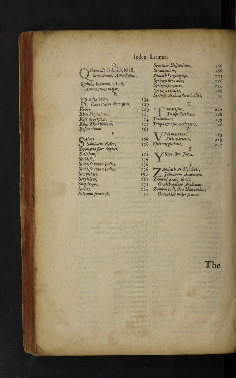 —V'- tr-*- V , . •' ' r ^ • . * ✓ '-V •' Index Lacinus. / / Uamoclit Indorum^ id eft. Convolvulus AmertcAnus,, ^tilnua Indorum, id eft, AmATunthus major^ a Adix cavAt P\ Ranunculus diverpas^ Rives^ I Rhus VirginUna^ Rofa diverpas, Rfjus Myrtifolfunty Rofmarinum, S SAlvia, ' • ' - \ Samhucus Rofea, SaponarU flore duplicL Satirium^ . .•' Scahiop ' Scabiofa rubra Indica^ Scabiofa rubra Indica^ ’ , > Scorploldes, Serpillum^ Snapdragon^ Sorbus^ Solanum fruticofa^ > Spartum Hifpanicumy Stramoniumy Sumach Virginienfa, Syringa flore alboy Syringa purpureo, Syringa ceruleoy Syringa Arabicaflore duplieiy '^AmarifcuSy 'thafpi Creticumy 223 ' 227 24 ‘Tracheiiumy 227 %difa ejus varietateSy 167 . V Viola marianay Vitis varietasy 226 Vitis virginianUy Y I r 2 “\7’ UccAy five Juccay, 11^ JL. 176 z 176 Ambach Arabiy id eft, ^9° ^j Jufminum Arabicum. 167 Zumbul Arabiy id eft, 172 Ornithogulum ^rabicum, 220 Zumbul Inaiy five Hiacynthus, 2 2 Orient alu major fracox. 227 1S8 The :/■ V a >!> -'J- t:,