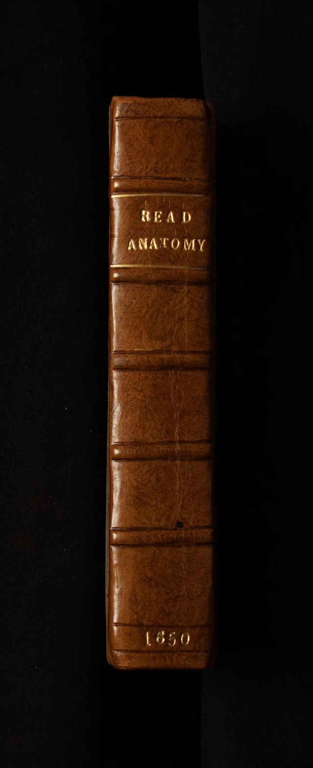 digitised image 2