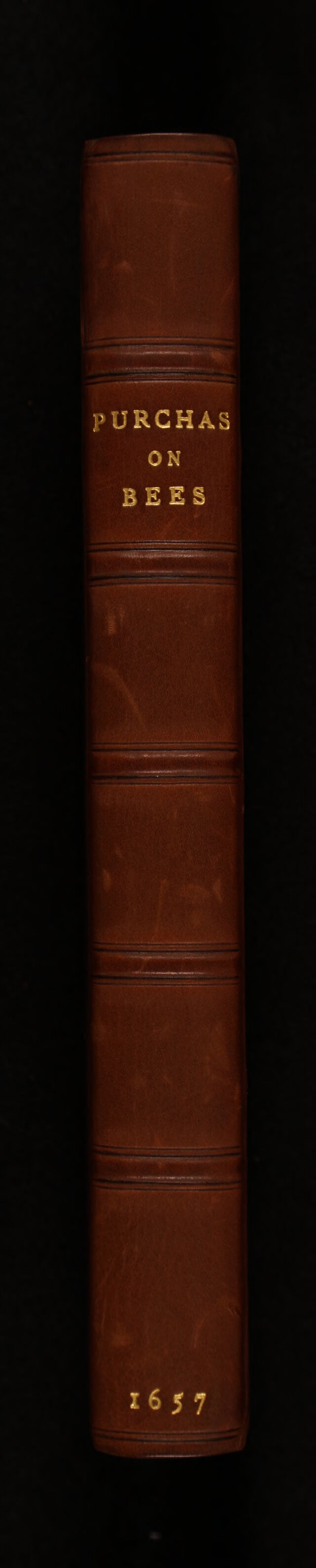 No text description is available for this image