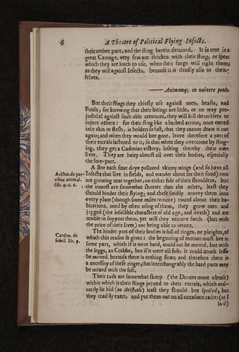 $ Ariftot.Jepa tibus animal »|ib» 6* Cardan, dc fubtil Iib# f, ^ of Political JFlying Infers, their nether part, and the fling herein detained. It is true In a great Carnage, very few are ttricken with their fling, orfpeat which they are loath to ufe, when their fangs will right them; as they will againft Infers, becaufc it is deadly alfo to them- fclycs. --Animmfy in vulnere poniu But their ftings they chiefly ufe againft men, beafts, and Fouls > for knowing that their bitings are little, or no way pre¬ judicial againft fuch able creatures, they will kill themfelves to injure others: for their fling like a barbed arrow* once entred into skin or flefh, is holden fo fafl, chat they cannot draw it out again;and when they would bee gone, leave therefore a part of their encrals fattened to it, fo that when they overcome by fling¬ ing, they get a Cadmian viftory, lofeing thereby their own dives. They are hairy almoft all over their bodies, efpecially the fore-part. A Bee hath four drye pelluced skinny wings (and fo have all r* Infe&s that live infields, and wander about for their food) two * are growing near together, on either fide of their ftioulders, but ‘ the mmoft are fomewhat fhorter than the other, leaft they ftiould hinder their flying; and thefe fwiftiy convey them into every place (though fome miles remote) round about their ha¬ bitations, until by often ufingofthem, they grow torn and jigged (the infallible chara&ers of old age, and death) and are unable to fupport them, yet will they venture forth (but with the price of their lives) not being able to return. The hinder part of their bodies is full of ringes, or pleights,of which this reafon i's given: the beginning of motion muft bee in fome part, which if it were hard, could not be moved, but with the leggs, as Crabbs, but ifit were all foft, it could much lcfle be moved > becaufe there is nothing firm; and therefore there is a neceffity of thefe ringer *that interchangeably the hard parts may be mixed with the foft. Their tails are fomewhat ftiarp (the Drones more obtufc) within which is their ftings jovned to their entrals, which ordi¬ narily lie hid (as Ariflotle) leaft they (hould bee fpoiled, but they rcad fy exert* and put them out on all occafiens rathcr(as I *, ' , ' lad)