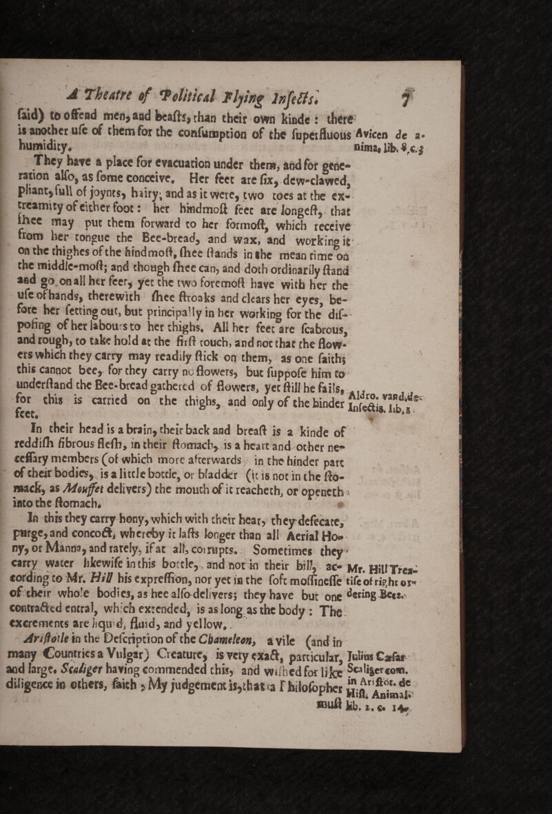 (aid) to offend men, and bcaflj, than their own kinde : there is another ufe of them for the confumption of the fupetfluous Avicen de a* humidity. nima, lib. They have a place for evacuation under them, and for gene¬ ration alfo, as feme conceive. Her feet are fix, dew-clawed, pliant, full of joynts, hairy; and as it were, two toes at the ex- treamity of either foot: her hindmoft feet are longeft,- that thee may put them forward to her formoft, which receive : from her tongue the Bee-bread, and wax, and working if on the thighes ofthe hindmoft, (hee (lands in the mean rime*oa the middie-mofl; and though thee can, and doth ordinarily ftand «d go on all her fecr, yet the two foremoft have with her the ufe of hands, therewith fliee ftroaks and clears her eyes, be¬ fore her fetting out, but principally in her working for the dif-- pofing of her labours to her thighs. All her feet are fcabrous, and rough, to take hold at the firft touch, and not that the flow* ers which they carry may readily flick on them, as one faith} this cannot bee, for they carry no flowers, but fuppofe him to underfland the Bee*bread gathered of flowers, yet fliil he fails, 4 for this is carried on the thighs, and only of the hinder WeS* iSJ? T In their head is a brain, their back and breaft is a kinde of reddifli fibrous flefh, in their ftomach, is a heart and other ne- ceflary members (of which more afterwards in the hinder part of their bodies, is a little bottle, or bladder (it is not in the flo- mack, as Meuffet delivers) the mouth of it reachetb, or openetb -a into the flomach. In this they carry hony, which with their heat, they defecate, purge, and concoft, whereby it lafls longer than all Aerial Ho* ny, or Manna, and rarely, if at all, corrupts. Sometimes they' carry water iikewife in this bottle, and not in their bill, ac-Mr. HiUTre*- cotding to Mr. Bill his expreffion, nor yet in the foft moffinefle tife of ri?,ht oi of their whole bodies, as hce al(b delivers; they have but one deringBe**. contrafted entral, which extended^ is as long as the body : The excrements are liquid, fluid, and yellow.. Anftorte in the Defcription of the Chameleon, a vile (and in many Countries a Vulgar) Creature, is very exaft, particular, Julios Cjr&r and large. S(a tiger having commended this, and wdhedfor like Scalier com. diligence m others, faith >My judgement is,that ta rbilofopher Sifr faimzl