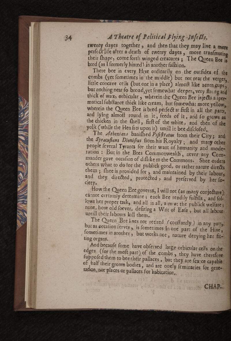A 7hut re ef T clitic *1 flying Atifdts, twenty dayes together > and then that they may live a more perfectlife after a death of twenty dayes , more tranfmuting their fihape, come forth winged creatures; The Queen Bee if bred (as l formerly hinted^ in another fafhion. There bee in every Hiye ordinarily on the outfides of the combs (yet fometimes in the middle) but not near the verce? Jictic concave cells (but one in a place), almoft like acorn cups, but nothing near fo broad,yet feme what deeper, very flrenoand thick ef wax, orbicular, wherein the Queen Bee injedls a /per* matical fubftancc thick like cream, but fomewhat more yellow wherein the Queen Bee is bred petfe<& at firft in all the parts* and lying almoft round in it, feeds of it , and fo grows a* the chicken in the fibcll, firft of the white, and then of the yolk ('while the Hen fits upon it) until! it bee difclofed.. The Athenians banilhed Pififkrctus from their City j and the S)racufians Dmiftus from his Royalty ; and many other people fcveral Tyrants for their want of humanity and mode¬ ration : But in the Bees Commonwealth, never any Com¬ mander gave occafion of diflike to the Commons. Shee orders others what to do for the publick good, or rather nature direfts tfiemj fliee is provided for, and maintained by their labour,. ciety t1Cy dircftcc1, Protc<acd’ and preferved by her fo- How the Queen Bee governs, I will not (as many conjeaureY cannot certainly determine; each Bee readily fulfills, and fob -ows cr, proper tasky sndall in all, aim at the publick welfare; Wli‘ of Eafe’but a l,boui TT«Qs«eo Bcetmoot retired fcor,Handy ) in any parr,, but as eccalion fer ves , is fometimes in one pari of the Hive ! ZgO'g™’ ’’ bUtW0,ksn0t> M‘“ buying bet fit- «d*“ f0n? h,vc °br««d orbicular cells on the r & ^;0r m°lt part) of the combs, thev have therffn** but they are force capabb or halt their grown bodies, and are onely fcminarics for Le- satiorij not places or pallaces for habitation7 ° CHAP O*