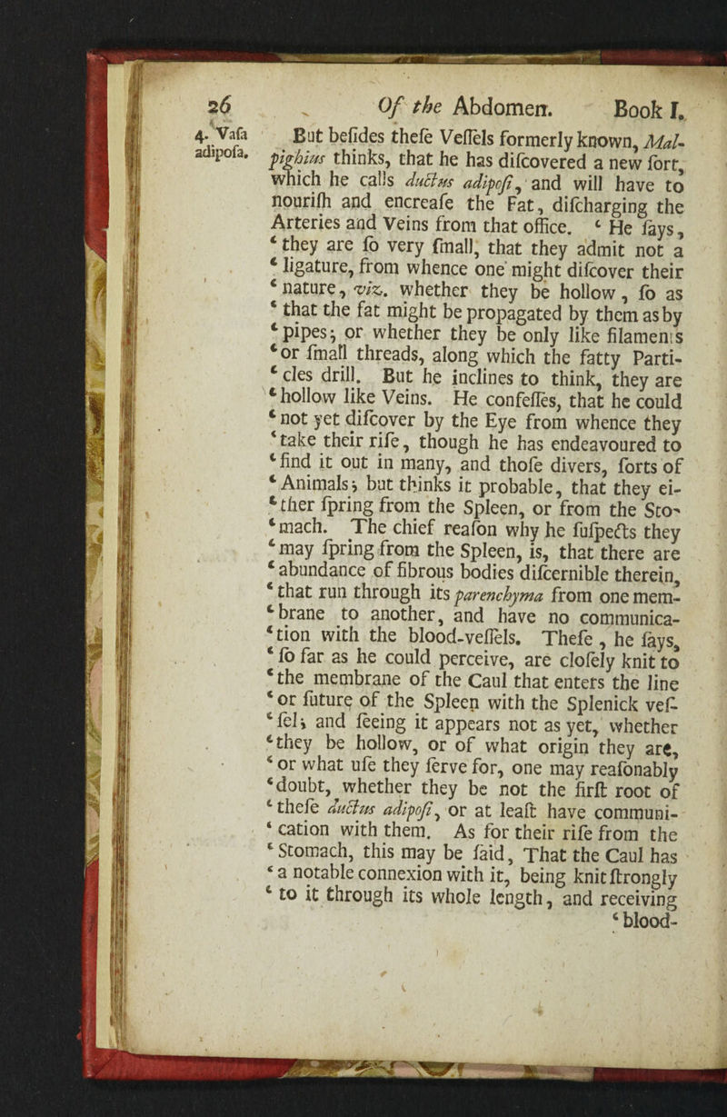 ‘| ‘a ; Py i ve Vii RY | tt il Ta a aera oe Pt awk eee —— eae = ——— Of the Abdomen. ~ Book I. But befides thefe Veflels formerly known, A4a/- pighius thinks, that he has difcovered a new fort, which he calls ductus adipof,:and will have to nourifh and encreafe the Fat, difcharging the Arteries aad Veins from that office. ‘ He fays, “they are fo very final]; that they admit not a * ligature, from whence one might difcover their “nature, viz, whether they be hollow, fo as * that the fat might be propagated by them as by ‘pipes; or whether they be only like filaments “or {mall threads, along which the fatty Parti- “cles drill, But he inclines to think, they are “hollow like Veins. He confefles, that he could “not yet difcover by the Eye from whence they “take their rife, though he has endeavoured to “find it out in many, and thofe divers, forts of * Animals; but thinks it probable, that they ei- “ther {pring from the Spleen, or from the Sto- ‘mach. ‘The chief reafon why he fufpects they “may {pring from the Spleen, is, that there are “ abundance of fibrous bodies difcernible therein, “that run through its parenchyma from one mem- “brane to another, and have no communica- ‘tion with the blood-veflels. Thefe , he fays, * fo far as he could perceive, are clofely knit to “the membrane of the Caul that enters the line ‘or future of the Spleen with the Splenick vef- “fel; and feeing it appears not as yet, whether ‘they be hollow, or of what origin they are, “or what ufe they ferve for, one may reafonably ‘doubt, whether they be not the firft root of “thele ductus adipofi, or at leaft have communi- ‘cation with them, As for their rife from the * Stomach, this may be faid, That the Caul has “a notable connexion with it, being knit {trongly * to it through its whole length, and receiving * blood-