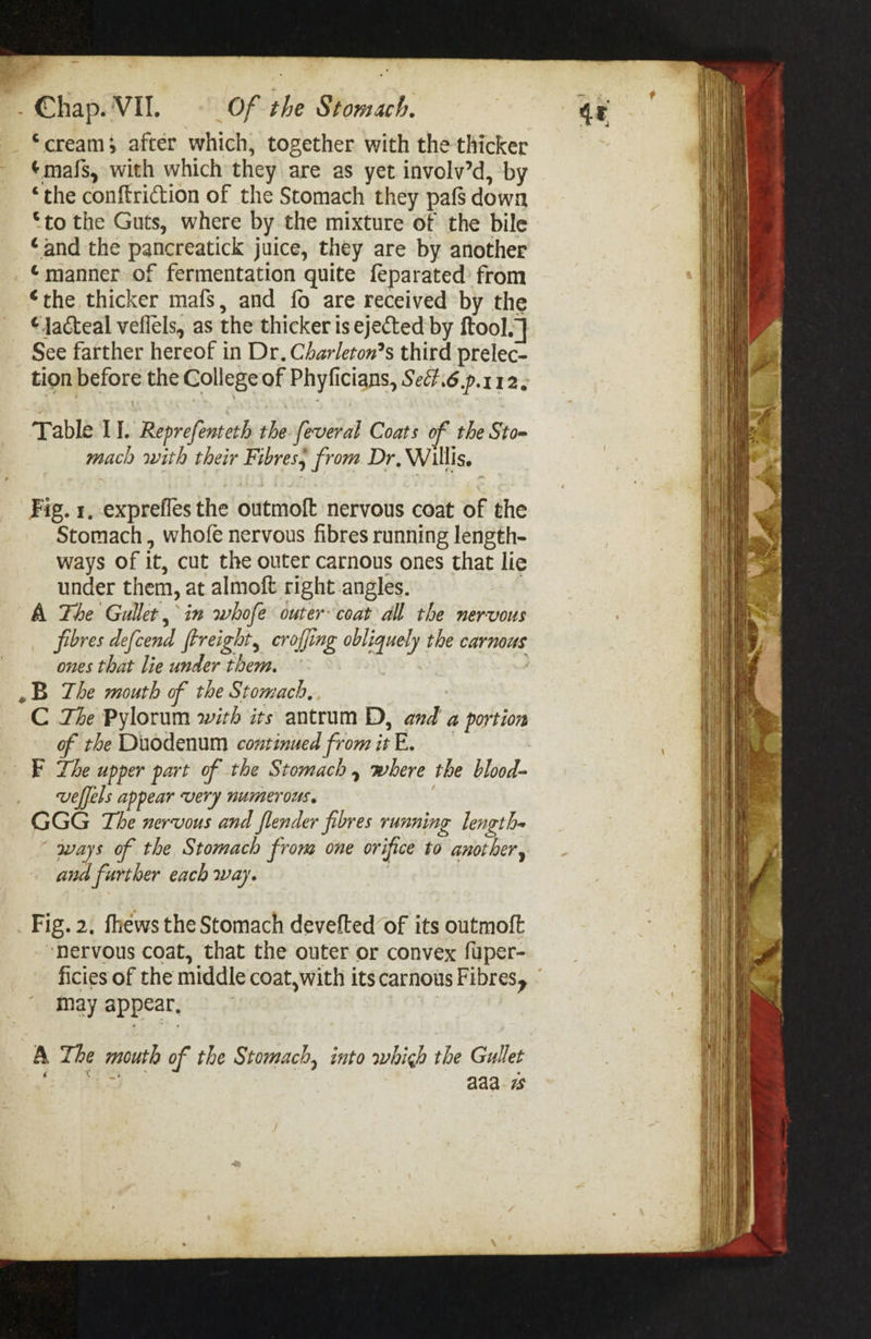 *cream; after which, together with the thicker ¢mafs, with which they are as yet involv’d, by “the conftriction of the Stomach they pafs down “to the Guts, where by the mixture of the bile and the pancreatick juice, they are by another ¢manner of fermentation quite feparated’ from “the thicker mafs, and fo are received by the ¢Jacteal veflels, as the thicker is ejected by ftool. ] See farther hereof in Dr. Charleton’s third prelec- tion before the College of Phyficians, Sec.6.p.112, Table 1]. Reprefenteth the feveral Coats of the Sto- mach with their Fibress from Dr, Willis. Fig. 1, exprefles the outmoft nervous coat of the Stomach, whofe nervous fibres running length- ways of it, cut the outer carnous ones that lie under them, at almoft right angles. | A Fhe Gullet, in whofe outer coat all the nervous fibres defcend freight, croffing obliquely the carnous ones that lie under them. ~B The mouth of the Stomach, C The Pylorum with its antrum D, and a portion of the Duodenum continued from it E. F Zhe upper part of the Stomach, where the blood- veffels appear very numerous. GGG The nervous and flender fibres running length ways of the Stomach frona one orifice to another, and further each way. | Fig. 2. fhews the Stomach devefted of its outmoft ‘nervous coat, that the outer or convex fuper- ficies of the middle coat, with its carnous Fibres, may appear, A The mouth of the Stomach, into whigh the Gullet AB ag &lt; We aaa. 7s