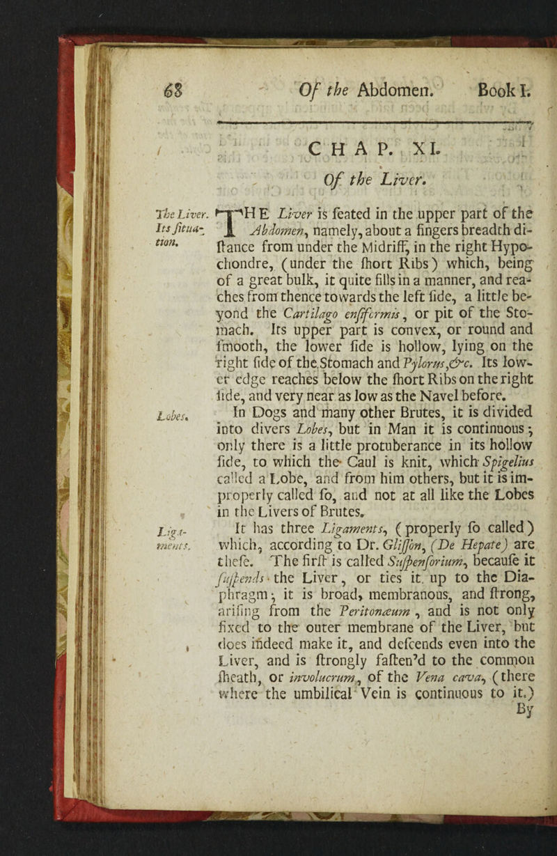 Coo Dy. Pa aie Traige Of the Liver. The Liver. -FA~HE Lever is feated in the upper part of the Tes fituar at Abdomen, namely, about a fingers breadth di- tte {tance from under the Midriff, in the right Hypo- chondre, (under the fhort Ribs) which, being of a great bulk, it quite fillsin a manner, and rea= ches from thence towards the left fide, a little be- yond the Cartilago enfifcrms , or pit of the Sto- ynach, Its upper part is convex, or round and fmooth, the lower fide is hollow, lying on the right fide of the,Stomach and Pylorus,e~c. Its low~ et edge reaches below the fhort Ribs on the right iide, and very near as low as the Navel before. es In Dogs and*many other Brutes, it is divided into divers Lobes, but in Man it is continuous ; only there is a little protuberance in its hollow fide, to which the Caul is knit, which Spigelius ca'led a Lobe, and from him others, but it isim- properly called fo, and not at all like the Lobes in the Livers of Brutes, Lies It has three Ligaments, ( properly fo called ) ments. Which, according ta Dr. Gliffin, (De Hepate) are thefe. The firlt is called Su/penforium, becaufe it fujpends: the Liver , or ties it. up to the Dia- phragm, it is broad, membranous, and ftrong, arifing from the Peritoneum, and is not only fixed to the outer membrane of the Liver, ‘but does tideed make it, and defcends even into the Liver, and is ftrongly faften’d to the common fheath, or involucrum, of the Vena cava, (there where the umbilical’ Vein is continuous to iby? BY SS = = = mt, ™ 3 sie A i ae se _ fa. oe bie 7 if wie oe . * i ted ms “— ¢ iy i pitted is oy # “ _. eee &lt; a ee ne mt ~~ fae Pe rs tag Sa 9 ahs iat air re eee : pa ? hs SHEE. MD MODs IN = yah ae ef ni Sg a : x = PSS ———— a ee ance - * BE Se Se ee EE IES Sear RNES seer ecaeeees = g y ay i SS SS Se es SSS tS + \ SS ee ee ee = a ESS —— SS ——————SS= a ee PR eS OE —