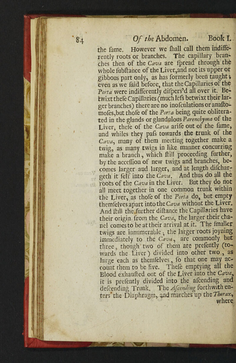 the fame. However we fhall call them indiffe- rently roots or branches. The capillary bran- ches then of the Cava are fpread through the whole fubftance of the Liver,and not its upper or gibbous part only, as has formerly been taught 5 even as we faid before, that the Capillaries of the Porta were indifferently difpers’d all over it. Be= twixt thefe Capillaries (much lefs betwixt their lar- ger branches) there are no inofculations or anafto- mofes,but thofe of the Porta being quite oblitera- ted in the glands or glandulous Parenchyma of the Liver, thefe of the Cava arife out of the fame, and whiles they pafs towards the trunk of the Cava, many of them meeting together make a twig, as many twigs in like manner concurring make a branch, which ftill proceeding further, by the acceflion of new twigs and branches, be- comes. largerand larger, and at length difchar- all meet together in one common trunk within the Liver, as thofe of the Porta do, but empty themfelves apart intothe Cava without the Liver. And ftill the.further diftance the Capillaries have their origin. from the Cava, the larger their cha- nel comesto be at their arrival at it. The fmaller twigs are innumerable , the larger roots joyning immediately to the Cava, are commonly but three, though’ two of them are prefently (to- large each as themfelves , fo that one may ac- count them to be five. Thefé emptying all the Blood exhaufted out of the Liver into the Cava, it is prefently divided into the afcending and defcending Trunk, The A/cending forthwith en- ters the Diaphragm, and marches up the ZAsrax, ; where,