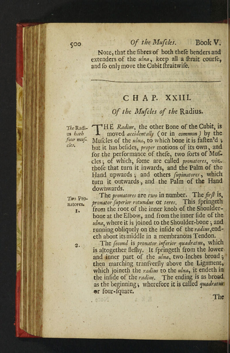 The Radi- us hath four muf- cles, Two. Pro- natoreSe td Of the Mufcles. Book V. Note, that the fibres of both thefe benders and extenders of the u/za, keep all a ftrait courfe, and fo only move the Cubit ftraitwife. CHAP... XXIII. Of the Mufcles of the Radius. HE Radins, the other Bone of the Cubit, is moved accidentally (or in common ) by the Mutcles of the #/za, to which bone it is faften’d 5 but it has befides, proper motions of its own, and for the performance of thefe, two forts of Muf- cles; of which, fome are called pronatores, viz. thofe that turn it inwards, and the Palm of the Hand upwards; and others /xpimatores, which turn it outwards, and the Palm of the Hand downwards. . The pronatores are two in number. The fir/ is, pronator fuperior rotundus ox teres, This fpringeth from the root of the inner knob of the Shoulder- bone at the Elbow,, and from the inner fide of the ulna, where it is joined to the Shoulder-bone ; and running obliquely on the infide of the radins,end- eth about its middle in a membranous Tendon. The fecond is pronator inferior quadratus, which is altogether flefhy. It fpringeth from the lower and anner part of the ulna, two-Inches broad ; then marching tranfverfly above the Ligament, which joineth the radius to the ulza, it endeth in the infide of the radius. The ending is as broad as the beginning; wherefore it is called quadratum er four-{quate, The