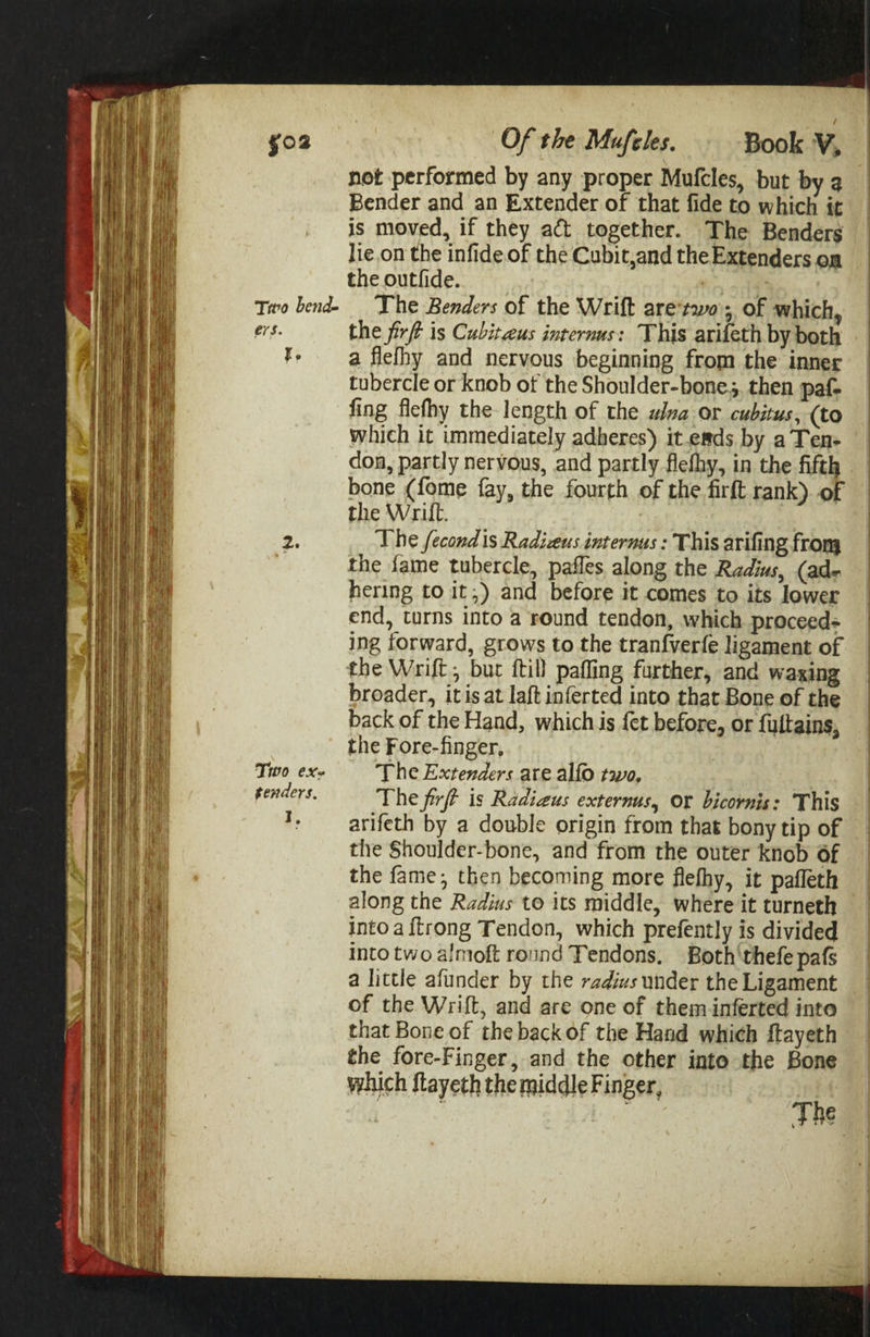 go3 Of the Mufeles. Book V, not performed by any proper Mufcles, but by 2 Bender and an Extender of that fide to which it is moved, if they act together. The Benders lie.on the infide.of the Cubit,and the Extenders on the outfide. ers. I, 2 Two ex« tenders. I, the firft is Cubiteus internus: This arifeth by both a flefhy and nervous beginning from the inner tubercle or knob of the Shoulder-bone., then paf- fing flefhy the length of the wlva or cubitus, (to which it immediately adheres) it.esds by a Ten- don, partly nervous, and partly flefhy, in the fifth bone (fome fay, the fourth of the firft rank). of the Wrilt. The fecond is Radizeus internus : This arifing from the fame tubercle, pafles along the Radius, (ade hering to it,) and before it comes to its lower end, turns into a round tendon, which proceed= ing forward, grows to the tranfverfe ligament of the Wrift, but ftill pafling further, and waxing broader, itis at laft inferted into that Bone of the back of the Hand, which is fet before, or {ultains, the Fore-finger, The Extenders are alfo two, The firft is Radigus externus, Or bicornis: This arifeth by a double origin from that bony tip of the Shoulder-bone, and from the outer knob Of the fame, then becoming more flefhy, it pafleth along the Radius to its middle, where it turneth into a {trong Tendon, which prefently is divided into two almoft round Tendons, Both‘thefe pafs a little afunder by the radivs under the Ligament of the Wrift, and are one of them.inferted into that Bone of the back of the Hand which ftayeth the fore-Finger, and the other into the Bone which ftayeth the middle Finger, idl | The