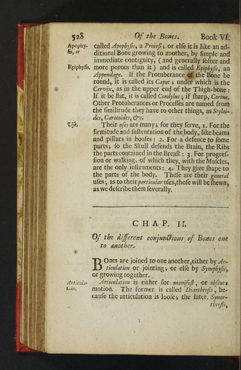 Apophy- fis, or Epiphy fis. Ufer Articuliq £4037, called Apophy/is, a Proce’, or elfe it is like an ads ditional Bone growing to another, by fimple and immediate contiguity, (and generally fofter and more porous than it) and is called Epiphy/is, an Appendage. \f the Protuberance @f the Bone be round, it is called its Caput ; under which is the Cervix, as in the upper end of the Thigh-bone : If it be flat, it is called Comdylus ; if fharp, Corone, Other Protuberances or Procefles are named from the fimilitude they have to other things, as Sryloi- des, Carocoides, Oc. Their w/es are many; for they ferve, 1. For the firmitude and fuftentation of the body, like beams and pillars in houfes: 2. For a defencé to fome parts; fo the Skull defends the Brain, the Ribs the parts contained in the Breaft; 3, For progref- fion or walking, of which they, with the Mufcles, are the only infiruments: 4, They give fhape to the parts of the body. ‘Thefe are their general ufes; as to their particular ufes,thofe will be fhewns as we defcribe them feverally. CH Age oe Of the different conjunctions of Bones one to another. B Ones are joined to one another,either by 47- ticulation Or jointing; or elfe by Symphyjis, or growing together. | Articulation is either for manifeft , or obfcure motion. The former is called Diarthrofis , bee caufe the articulation is loofe, the later, Synar- throfis,