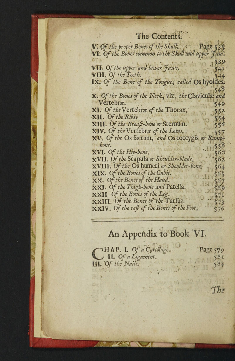 VII. Of the ufper and lower. Jaws, • - .>* * VIII. Of the Teeth. 544 IX;* Of the Bone of the Tongue^ called GS hyoide^i -.1 X. Of the Bones of the Neck^ viz. /^eClavicuJ^ and Vertebrae. - ‘ ’ V49 XL cy*Vertebrae Thorax. XII. Of the Rib's t XIII. Of the-Breaf-hdne or StCtnWi, ' XIV. Of theVtllthlx of the Loins., . . . ^,5 j X V'. Of the Osfaeruni, WOscoccygis or Rump? bone. : ^ ' ;■ 5.58 XVI. Of the Hip ‘hone, ' 5^6 xVII. Of the Scapula or Shoulder-blade, . f 'f6i XVlir. OftheO%hw\ntlior'Shoulder‘bone; ^ 56'4 Of the Bones of the Cubit, / ’^6^ XX. Of the Bones of the Hand. ' ' *! “5,^7 Of the Thigh-bone and Y^2LtQ\\2L. ‘ XXII. Of the Bones of the Leg. ' %7i XXIII. Cf theBonesdflhe'TSitrusy ' *' 573 XXIV. Of the ref of the Bones of the Foot, 5 ycJ An Appendix to Book VI. FIAP. I. Of a Cartilage, If, Of a Ligament. HI; ^Of the Nalhi ' Page 579 ■ 5.81 • 584 The A* _ ■