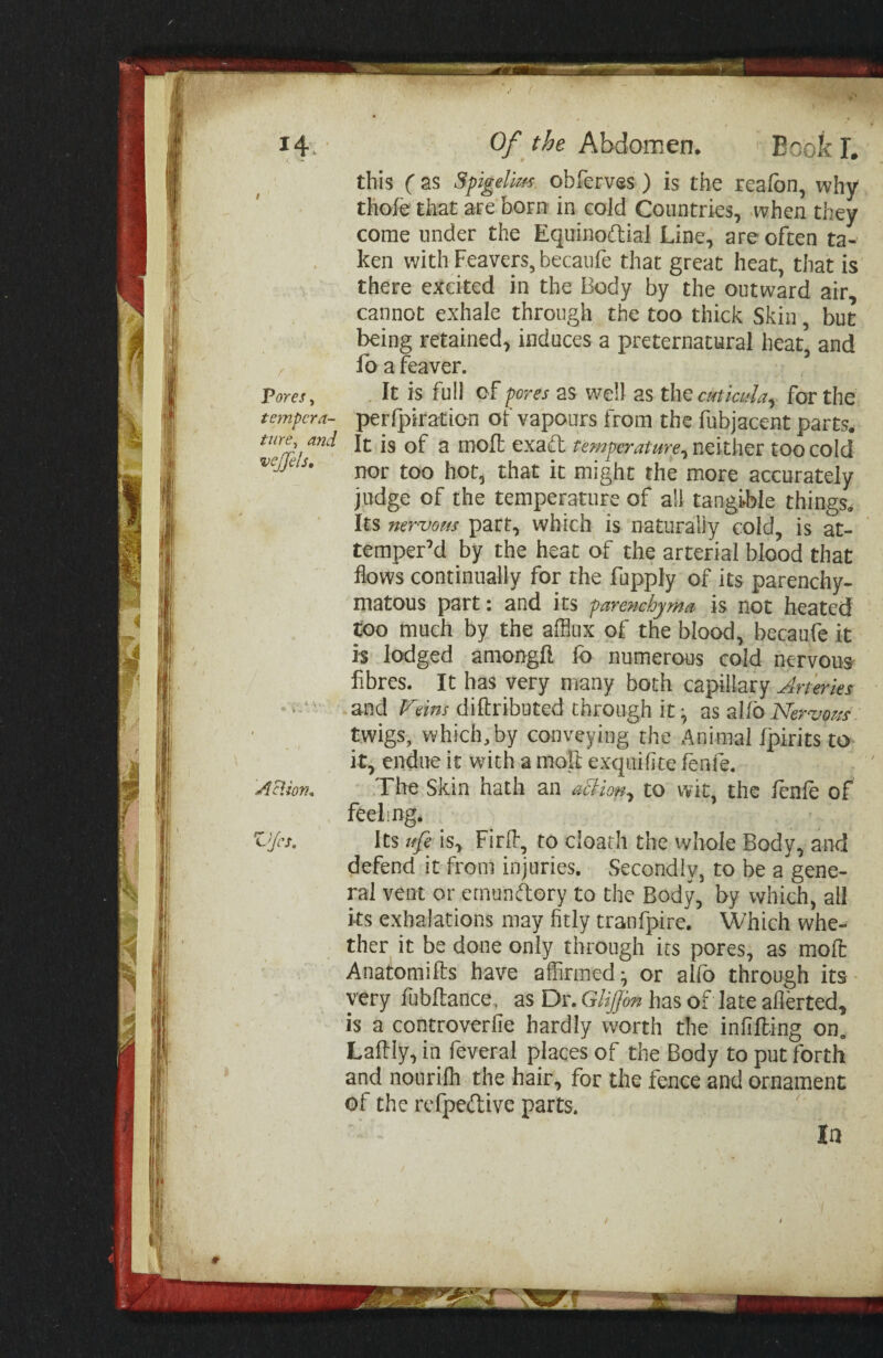 f.R 14^' ^/. Abdomen, Book 1. this (as Spigellm. oblerves) is the reafbn, why thofe that are born’ in cold Countrks, when they come under the Equinodiai Line, are often ta¬ ken with Feavers, becaufe that great heat, that is there excited in the Body by the outward air cannot exhale through the too thick Skin, but being retained, induces a preternatural heat’ and fo a feaver. Pores, . It is full of pores as well as t\\Q cutiada^ for the tempera- perfpiration of vapours from the fubjacent parts^ ^ nioft exaft temperature^ neither too cold nor too hot, that it might the more accurately judge of the temperature of all tangible things^ Its nervGf-is part, which is naturally cold, is at¬ temper’d by the heat of the arterial blood that flows continually for the fupply of its parenchy- matous part; and its parenchyma is not heated too much by the afflux of the blood, becaufe it h lodged amongft fo numerous cold nervous fibres. It has very many both capillary Arteries ‘ ‘ ‘ and diftributed through it ^ ns dfo Nerz/ot/s twigs, which, by conveying the Animal fpirits to it, endue it with a nioft exquifite fenfe. A9.ion, The Skin hath an aBlon^ to wit, the fenfe of feeling. vjes. Its tifi is, Firffl, to cloath the whole Body, and defend it from injuries. Secondly, to be a gene¬ ral vent or ernundory to the Body, by which, all ks exhalations may fitly tranfpire. Which whe¬ ther it be done only through its pores, as moffl Anatomifts have affirmed^ or alfo through its very fubflance. as Dr. GUj]bn has of late aflerted, is a controverfie hardly worth the infixing on, Lafliy, in feveral places of the Body to put forth and nonrilh the hair, for the fence and ornament of the refpedive parts. la /