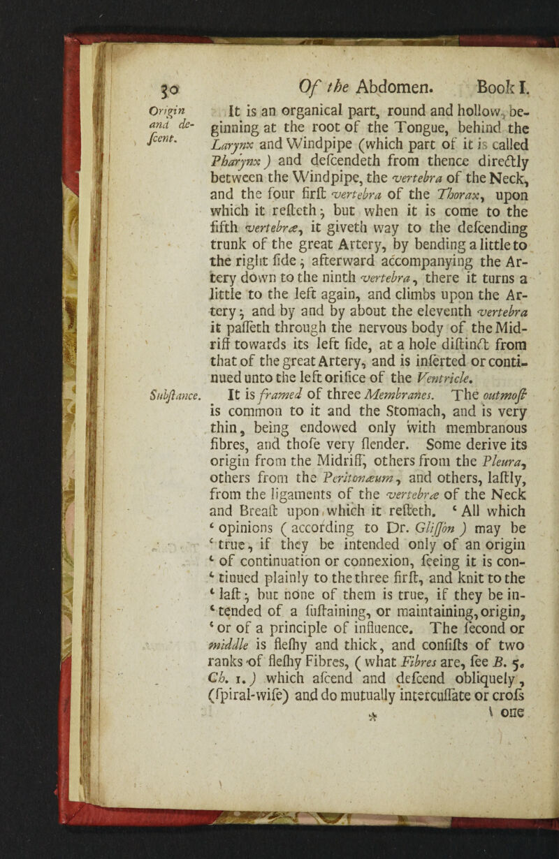 Suhftance, It is an organical part, round and hollow, be¬ ginning at the root of the Tongue, behind the Larynx and Windpipe (which part of it is called Tharynx) and defeendeth from thence direftly between the Windpipe, the vertebra of the Neck, and the four firit vertebra of the Thorax^ upon which it refteth ^ but when it is come to the fifth ^jertebra^ it giveth way to the defeending trunk of the great Artery, by bending a little to the right fide; afterward accompanying the Ar¬ tery down to the ninth vertebra, there it turns a little to the left again, and climbs upon the Ar¬ tery ^ and by and by about the eleventh vertebra it pafleth through the nervous body of the Mid¬ riff towards its left fide, at a hole diftinft from that of the great Artery, and is inferred or conti¬ nued unto the left orifice of the Ventricle. It IS framed of Membranes. The outmofi is common to it and the Stomach, and is very thin, being endowed only with membranous fibres, and thofe very flender. Some derive its origin from the Midriff', others from the Pleura^ others from the Peritoneum ^ and others, laftly, from the ligaments of the ^ertebre of the Neck and Breaff: upon. which it refteth, ‘ All which ‘ opinions ( according to Dr. GUpn ) may be ‘^ true, if they be intended only of an origin ‘ of continuation or connexion, feeing it is con- tinned plainly to the three firft, and knit to the ‘ laft but none of them is true, if they be in- ^ tended of a fuffaining, or maintaining, origin, ‘ or of a principle of influence. The fecond or middle is flefhy and thick, and confiffs of two ranks 'of flefliy Fibres, ( what Fibres are, fee B. 5, Ck i.) which afeend and defeend obliquely, (fpiral-wife) and do mutually intercuffate or crofs