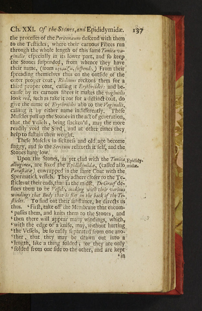 Ch. XXL Of theStdnes^and'E^i^idiymiddd. 1^7 tlie procefles of theP^r/Vo^^//;?? delcend with them to the Tefticles-, where their carnous Fibres run through the whole length of this ^2LmtTunica'va¬ ginalis efpecially in its lower part, and fo keep the Stones fufpended, from whence they have their name, {Horn From their ^ fpreading themlelvcs thus on the outlide of the' outer proper coat, Rklkms reckon! them for a third proper coat, calling it ilrfh'rpidek. and be- caufe, by its carnous fibres it make^ xdai-^aglmlis^ look re f luch as take it not for a dillinc^l coat, do give the name of Ery^hrardes alio to the Vaginalis^ calling it by either name indifferently. Thefe JMufcles pull up the Slones in the a^fl of generation, that^the y^fiels, being flacken’d, may the more readily'void the Seed‘^/and at other times they help to fultain their wer^ht. Thefe IMufcIes in ficknefs and old,age become^ flaggy, and fo x}i:itSmturn relaxeth it felf, and the 'Stones hang low.' ' ' Upon the Stoners, as yet clad vvith the 7^??/V^'Epididy- all’uginea^ fixed' theEpidkymid^^ (called alfo^mid«. Farafiat^J enwrapped in the fame Coat with the Spermatick veffels. They adhere cloler to the Te- fticles'at their ends,than in the’midfb. DeGrae/dcf fines them to be VeU'efsy making with their 'various, windings that Body thap is fikt on the hack of the^e^ flicks. To find outtheif fubffi^nce, he direds Its'' thus. ^ Firfl, take off the Membrane that encora- ^ paffes them, and knits them to the Stones, and ^then there will appear many windings, which,. * with the edge of a knife, may,\vithout hurting ‘the VeflUs, befoeaOly fep^rated from oneano-' ‘ther, that they may be dtawn out into a ‘length, like a thing folded v ^'or' they are only ‘ fo}ded from one lide to the other, and are kept-