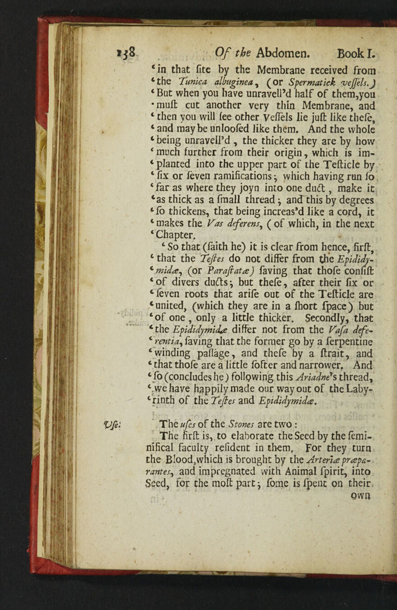 ‘in that fite by the Membrane received from ‘the Tunica albuginea^ (or Spermatick ‘PejJels,J ‘ But when you have unravellM half of them,you •mull cut another very thin Membrane, and ‘ then you will (ee other VelTels lie juft like theft, ‘ and maybe unlooftd like them. And the whole ‘ being unraveiPd , the thicker they are by how ‘ much further from theit origin, which is im- ‘ planted into the upper part of the Tefticle by ‘ fix or ftven ramifications ^ which having run fo. ‘ far as where they joyn into one duff , make it ‘as thick as a fraall thread ^ and'this by degrees ‘lb thickens, that being increas’d like a cord, it ‘ makes the Vas dferens^ ( of which, in the next ‘ Chapter. ‘ So that (faith he) it is clear from hence, firft, ‘ that the Tefies do not differ from the Epldidy^ ‘ mid^^ (or Varafiata) faving that thoft coniift ‘of divers du(n;s^ but theft, after their fix or ‘ ftven roots that arift out of the Tefticle are ‘ united, (which they are in a Ihort fpacc) but * ‘of one, only a little thicker. Secondly, that ^ t\iQ Epididymidte differ not from the Vafa defe^ ^rmia^ faving that the former go by a ferpenfine ‘ winding paflage, and theft by a ftrait, and ‘ that thoft are a little Ibfter and narrower. And ‘lb (concludes he} follpwing this Arladneh thread, ‘,we have happily made our way out of the Laby- ‘rinth of the Tefes and Epididymides, The ufs of the Stones are two: The firft is,, to elaborate the Seed by the femi- nifical faculty relident in them, for they turn the Blood,which is brought by the Arteriespreepa^ rantes^ and impregnated with Animal fpirit, into Seed, for the moft part ^ fome is fpent on their own \