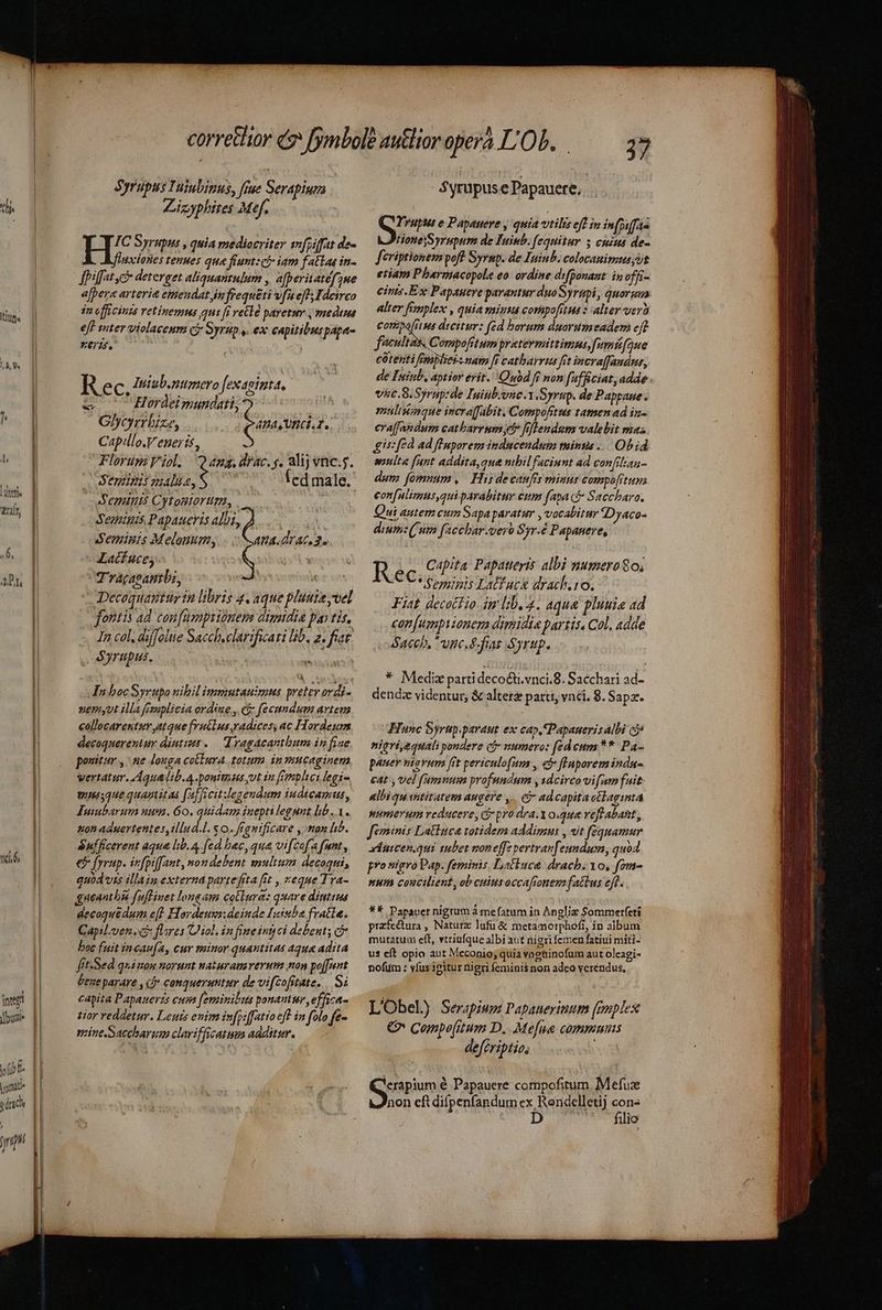 erit, fit bs nter bugie fifi. y |i | I | | t I1 IN 1 I | | ! Syrupus Iujubinus, fiue Serapium I C Syrupus , quia mediocriter svfpiffat de- Jflnxclaries tenues que fiunt: ci» iam fallas in- fpiffat e deterget aliquantulum , a[peritatef5ue a[pera arteria emeudat,infrequéti vfneff; Idcirco in officine retinemus qui [i veClé paretur , medtms eff eiter violaceum c Syrup. ex capitibuspapa- XEM. 00 R ec. Imub.numero fexaginta, zu Hordeimundati, Glycyrrhize, AHASVBCI.T, Capillo,V egeris, Floruni Viol. Qna. déac. s, alij vnc.5. Senipis malus, t Icd male. dPeminis Cytomiorum, Seuminis Papaueris ad ^ Seminis Melonum, ATA LIAC. 2. Lacfuce, T Tracasanbi, eon Decoquaptur tn libris 4. aque pluuiayvel fontis ad confumprioneme digatdia pan tis, In col, diffolte Sacch.clarificari lib, 2. fiat: Syrupul. oos Eh In boc Syrupo uihil immutauimts preter ordi- nemyut illa fesuplicia ordine , c fecundum arteua collocarentur atque futlus radices, ac Hordeum decoquerentur diutius .— dragacantbum in fiae ponitur y: te douga cotlura totum in yencaginem vertatur. 4qualib. 4. poutmus vt in fVrnplici legi wieisaue quautitas [2[[icit legendum iudicamus, Tuiubarum uum. 60. quidam inepti legunt lib. 1. non aduertentes, illud.l. $0. fegnificare , non fib. ufficerent aque lib. 4. (ed bec, qua vi[cof a funt , € [yrup. ixfpiffant, nondebent multum decoqui, quidvis illain externa parte frta fit , «eque Tra- gneantbu f(uflinet longam collura: quare diutius decoquedum e(l Haordeusa:deiude [uisiba fatte. Capil. ven. flares C iol. in fineint) c debent; ci boc fuit incau[a, cur minor quantitas aqua adita fit-Sed quiuon norunt naturamverum non poffunt bene parare , cj conquerutitur de vifcofitate. Si capita Papauerzs cum feminibus ponantur, effica- tior reddetur. Leuts enim in[piffatto eff in folo fe- mine .Saccharum clarifficatum aaditsr. 37 Syrupus e Papauere, S. THpMs e Papauere , quia vtilis efl in in[piffas HoneySyrupum de Tuiub. fequitur 5 cuius de- feriptionem poft Syrmp. de Iuinb. colocanimus ut etiam Pharmacopole eo. ordine difponant: in offi- cints.Ex Papaueve parantur duo Syrup, quorgua alter fimplex , quia saiuma comspofitus : alter verà Coripa[r us decitur: fed borum duorumeadem ejt faculta, Compofitumpratermittimus fumté[que cotenti femplieés nam [i catbarrta frt incraffandur, de Ininb, aptior erit. Quid ff non fafficiat; adde . vic. S. Syrupide Iuitb.vne.1.Syrup. de Pappaue . mulisemque incra[Tábit. Compofetus tamen ad in- erajfandum catbarrum e frflendum valebit mas. gis: fed ad fluporem inducendum tinus ... Ob id wnlta fant addita, que nibil facinnt ad con[rilan- aum fomnum, His decaufis minus compofitum con[alimus,qui parabitur eum fapa i Saccharo. Qui autem cum Sapa paratur , vocabitur 2Dyaco- dium: utn fiecbar.vero $ »yr.é Papanere, Ts Capita. Papatteyis albi numero 8o; * Seminis Lattack drach.10. Fiat decottlio. im lb. 4. aqua pluuia ad con[uemnpy onera dimidia partis, Col. adde Saceh, vnc. ftat Syrup. * Mediz partidecocti.vnci.8. Sacchari ad- dendz videntur, &amp; alterz parti, vnci. 8. Sapa. Hinc Syrtip.paraut ex cap, Papauerisalbi cà nigri,equali pondere cj- numero: [ed cnm ** Pa- pauer niavum [it periculo(um , c flaporemindn- cat , Vel fummum profundum ysdcircovifumfuit. albi quantitatem augere ,. Cj ad capitactlaginta wumerum reducere, pro dra.Yo.que veftabant, feminis Laliuca totidem addimus , vt fequamur xduicen.qui iubet noneffe pertravfeundum, quod pro nigro Pap. feminis Lstliuca. drach. Yo, fom- num coucilient, ob cuius occafionemfattus eft. **. Papauer nigrum à mefatum in Angliz $ommerfeti przfe&amp;tura , Naturz lufü &amp; metamorphofi, in album mutatum eft, vtriufque albi aut nigri femen fatiui miti- u$ cít opio aut Meconio; quia vagtinofum aut oleagi- nofüm : víus 3eitur nigri feminis non adeo veréndus, L'Obel) Serapium Papauerinum (emplex € Compe[itum D. .Mefne comminus defcriptio, icr Papauere compofitum Mefux non cft difpenfandum ex Rondelletij con« D ^ lio