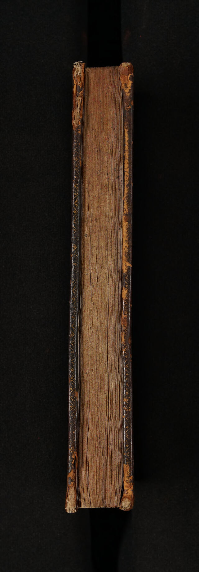 No text description is available for this image