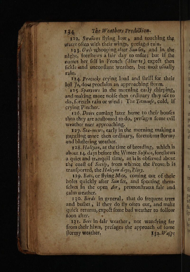 SADE te mee ME Se ee . se Se opi ae 134 The Weathers Predi®ion. 122, Swalloxs flying low, and touching thg water Often with their wings, prefagcs rain, 123. Owls whooping atter Sus fet, and in the night, forefhews afair day toenfye; but if the names her felf in French CHuette) expe&amp; then fickle «and unconftant weather, but moi ufually rain. iat 3 124, Peacocks crying loud and fhriJl for theic loft Fo, doss proclaim an approaching ftorm. 125. Sparrows in the morning early chirping, and making more noife then ordinary they ufe to do, foretels rain or wind: The Titmoufe, cold, if crying Pincher. 126. Doves coming later home to their honfes then they are acuftomed todo, prefages fome evil weather neer approaching. 127. Sea-mews, early inthe morning making a gaggling more then ordinary, foretokens ftormy and bluftering weather. 128. Halcyon, at the time of breeding, which is about 14. days before the Winter So/#ice, forefhews the coaft of Sicily, from whence the Provecsb is tran{ported, the Halcyou days, Pliny. 129. Bats, or flying Mice, coming out of their {elves in the open der, premonttrates fair and calm weather. 130. Birds in general, that do frequent trees and bufhes, if they do fly often our, and make quick returns, expec fome bad weather to follow Joon after. Fy | 131. Bees in-fair weather, not wandring far from their hives, prefages the approach of fome ftormy weather. 332. Wafps 4 | | Ly ¥