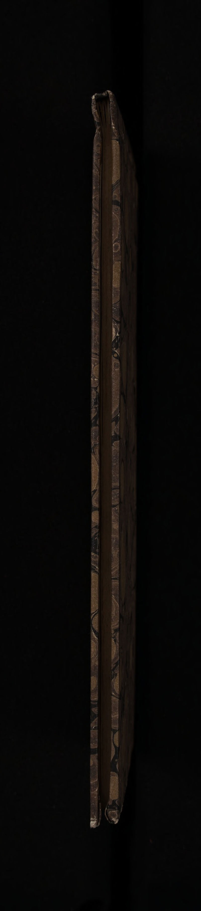 No text description is available for this image