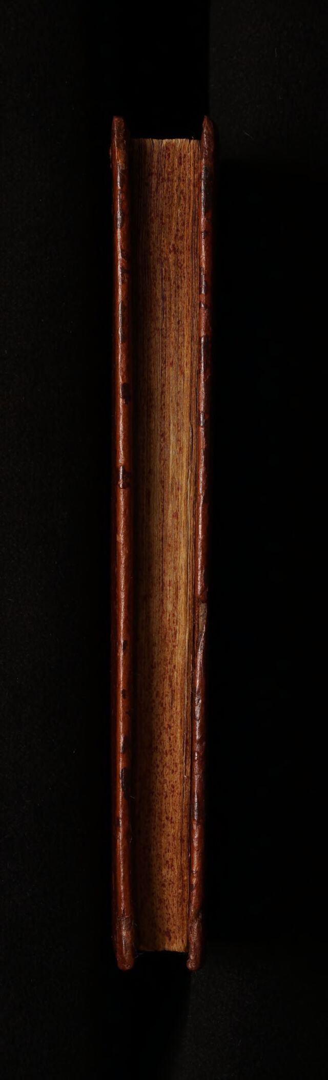digitised image 3