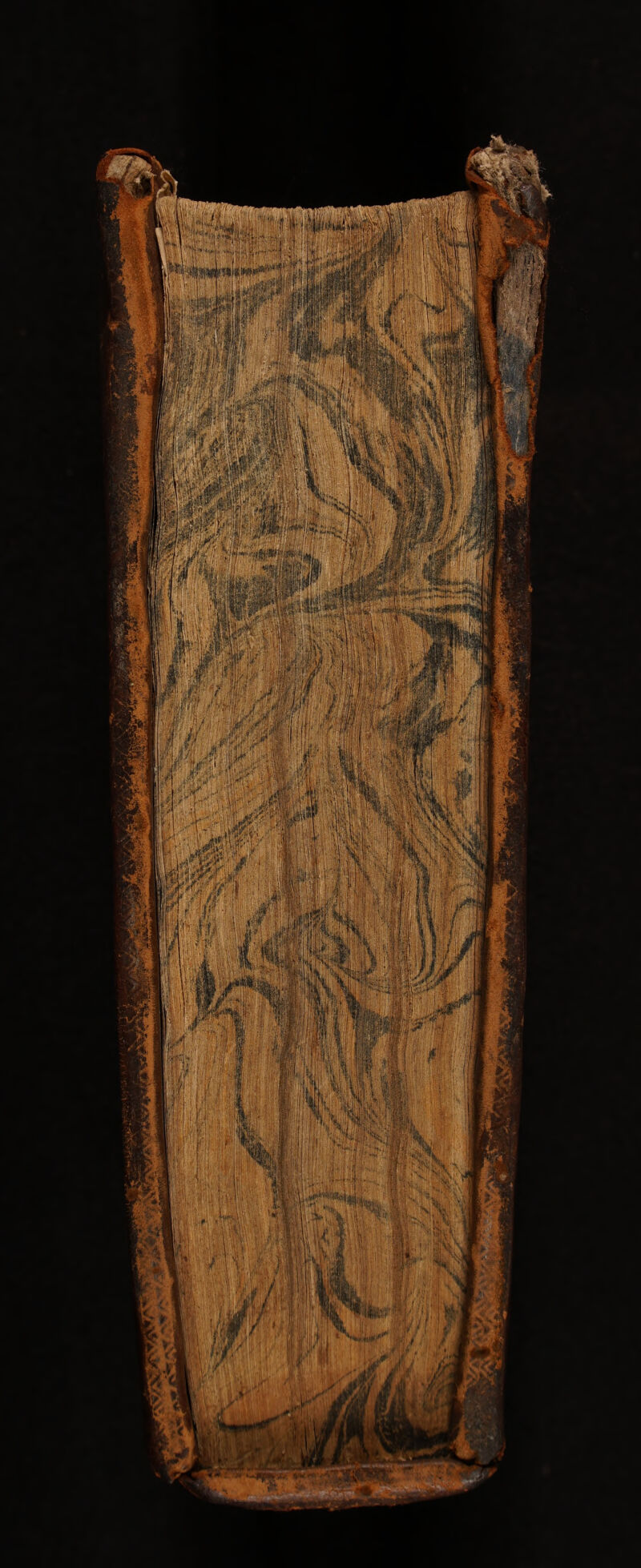 No text description is available for this image