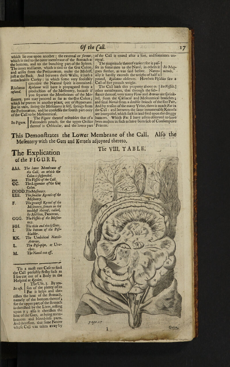 Of the (all which lie one upon another : the external or former, which is tied to the outer membrane of the ftomach at the bottom, and to the bunching part of the Spleen. The inner and latter, which is tied to the Gut Colon, and arifes from the Peritonaeum, under the Midriff, juft at the Back. And between thefe Walls, ithatha remaikeablc Cavity: ill which fome very foolilhly conceive the Natural fpirit is contained. Riolanus Kjolanus will have it propagated from a refuted. production of* * the Mefentery, becaufe if you feparate the Membranes of the Me¬ fentery, you may proceed as far as the Gut Colon; which he proves in another place, out of Hippocrates. But in vain, feeing the Mefentery it felf, fprings from the Peritonaeum, and he confeffes the fourth part only ofthe Call to be Mefenterical. The Figure thereof refembles that of a ItiFmn. Falconders pouch, for the upper Orifice thereof is Orbicular, and the lower part Its Mag* nitude. ofthe Call is round after a fort, andfomtimes un« equal. The magnitude thereofvaries: for it paf- fes in fome men to the Navil, in others it goes further, as was faid before. Natur¬ ally it hardly exceeds the weight of half a pound, Riolanus oblerves. Howbeit Vefalius law a Call of five pounds weight. The Call hath this property above o- 1 ltsVeffcls.] other membranes, that through thefub- 1 ftance thereof, very many Veins and Arteries are fprink- led, from the Caeliacal and Mefenterical branches j and final Nerves from a double branch of the fixt Pair. And by reafon of the many Veins, there is much Fat in the Call: and between the lame innumerable Kernels are interpoled, which fuck in and feed upon the dreggy humors. Which Fat X have often oblcrved to have been mojten in fuch as have been fick of Confumptive Feavers. This Demonftrates the Lower Membrane of the Call. Mefentery with the Guts and Kernels adjoyned thereto. r . The Vill. T ABLE; The Explication ofthe FIGURE, AAA. The lower Membrane of the Call, on which the Colon is fufpended. aaa. T he Vejfels of the Call. CC. The Ligament ofthe Gut . Colon. DDDD.TheMeJentery, BEE. The final ler Kernels of the Mefentery. f. Tbegreatejl Kernel of the Mefentery,fituate in the middejl thereof, called, by Afellius, Pancreas, GGG. Tbe Vejfels of the Mefen¬ tery. HH. The thin and thickGuts. I. The bottom of the Pifs- bladder. KK. The Umbilical Navil- Arteries. I. Tbt Pifs-pipe, or Ura¬ chus. M. The Navil cut off. Alfo the Tis a moft rare Cafe to find the Call perfeaiyflefhyfuch as I law cut out of a Body in the Hofpital at Zeyden. * TheUfe, i. Byrea- Its ufe. fon of the plenty of its Fat it helps and che- rifhes the heat of the ftomach, namely of the bottom thereof 5 for the upper part of the ftomach is cherifhed by the Liver, refting upon it; alfo it cherilhes the heat of the Guts, as being mem¬ branous and blood-lefs parts. And therefore, that fame F«ncer r was taken away by 1