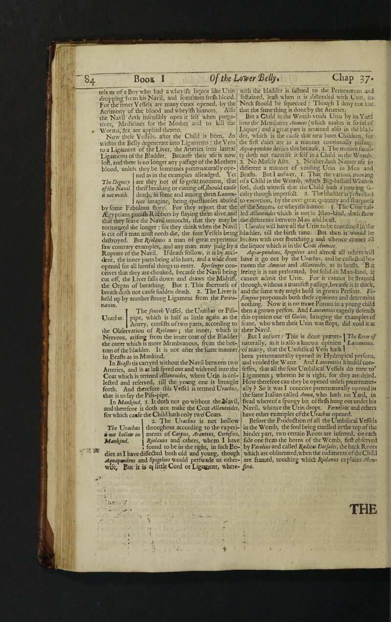 telsus of a Boy who had awheyifh liquor likeUrin w'ith the bladder is faftned to the Peritonaeum and dropping from his Navil, and fomtimes frcfh blood. For the inner Veffels are many times opened, by the Acrimony of the blood and wheyifh humors. Alfo the Navil doth infenfibly open it felf when purga¬ tives, Medicines for the Mother and to Worms, &c. are applied thereto. fuftained, lead when it is diftended with Unn, its Neck fhould be fqueezed : Though I deny not but that the fame thing is done by the Arteries: But a Child in the Womb voids Urin by its Yard kill the j into the Membarne Amnios (which makes it fo ful of Liquor) and a great part is retained alfo in theblad- Now thefe Veffels, after the Child is born, do der, which is the caufe that new born Children, lor within the Belly degenerate into Ligaments: the Vein'the fidl daies are in a manner continually pilling, to a Ligament of the Liver, the Arteries into lateral’ Aqua-pendens denies this hecaufe, i. The motive facul- Li gaments of the Bladder. Becaufe their ufe is now j ty doth not CKercife it felf in a Child in the Womb, loft, and there is no longer any palfage of the Mothers j 2. No Mufcle A&s. 3. Neither doth Nature ufe ib blood, unleis they be fomtimes preternaturally ope- j different a manner of voiding Urin in Men and ’ ned as in the examples alleadged. Yet; Beads. Butlanfwer, 1. 1 hat the various moving T be Dignity of the Navil is not much. are they not of fo great moment, that their breaking or cutting off,fhould caufe death, as fome and among them Lauren- tins imagine, being queftionles abufed by fbme Fabulous dory. For they report that the ./Egyptians punifh Robbers by flaying them alive,and that they leave the Navil untoucht, that they may be tormented the longer *. for they think when the Navil is cut off a man mud needs die, the four Veffels being of a Child in the Womb, which Big-bellied Women feel, doth witnefs that the Child hath a moving fa¬ culty though impeded. 2. The bladder is provoked to excretion, by the over great quantity and fharpnefs of the Serum, or wheyifn humor. 3. TheCoat cal¬ led Allantoides which is notin Man-kind, dothfhew tire difference between Man and bead. Uarolus will have all the Urin to be Contained in tire bladder, till the birth time. But then it would be Urachus. dedroyed. Bu 1 Rjolanus a man of great experience broken with over dietching 3 and whence comes all faw contrary examples, and any man may judg by a the liquor which is in the Coat Amnios. Rupture of the Navil. If death follow, itisbyacci-, Aqua-pendens, Spgelius and almoft all others will dent, the inner parts being alfo hurt, and a wide dore have it go out by the Urachus, and be collected bc- opened for all hurtful things to enter. Sperlmger con- tween the Amnios and Allantoides, as in beads. B it ceives that they are choaked, bccaufe the Navil being | feeing it is not perforated, but folid -in Man-kind, it cutoff, the Liver falls dow'n and draws the Midriff,! cannot admit the Urin. For it cannot be drained the Organ of breathing. But i.This fhortnefs of through,withoutamanifedpaffage,becaufeitis thick, and the fame way might hold in groum Perfons. Ve~ Jlingius propounds both thefe opinions and determins nothing. Now it is no more Porous in a young child then a grown perfon. And Laurentius eagerly defends this opinion out of Galen, bringing the examples of fome, who when their Urin was flopt, did void it at their Navil. But I anfwer; This is done prseter- | The Error of naturally, as it is alfo a know n opinion ’ Laurentius. of many, that the Umbilical Vein hath! been preternaturally opened in Hydropical perfons, and voided the Water. And Laurentius himfelf con- feffes, that all the four Umbilical Veffels do turn to' Ligaments 3 wherein he is right, for they are dried. How therefore can they be opened unlefs preternatur¬ ally ? So it was I conceive preternaturally opened in the fame Italian called Anna, who hath no Yard, in ftead whereof a fpungy bit of fldh hung out under his Navil, whence the Urindropt. Eerneliiis and others have other examples chheUracbtis opened. Before the Production of all the Umbilical Veffels in the Womb, the feed being curdled inthe top of the hinder parr, two certain Roots are inferted, on each fide one frem the horns of the Wornb, firft obferved breath Toth not caufe fudden death. 2. The Liver is held up by another ftrong Ligament from the Perito¬ neum. The fourth Veffel, theUrachus orPifs- pipe, which is half as little again as the Artery, confifts oftwo parts, according to the Obfervation of Pjolanus 3 the inner, which is Nervous, arifing from the inner coat of the Bladder the outer which is more Membranous, from the bot¬ tom of the bladder. It is not after the fame manner in Beafts as in Mankind. In Beafts tis carryed without the Navil between two Arteries, and is at lattfpred out and widened into the Coat which is termed Allantoides, where Urin is col¬ lected and referved, till the young one is brought forth. And therefore this Veffel is termed Urachus, that is to fay the Pifs-pipe. In Mankind, I. It doth not go without the-Navil, and therefore it doth not make the Coat Allantoides, for which caufe the Child hath only tw?o Coats. 2. The Urachus is not hollow throughout according to the experi¬ ments of Carpus, Arantius, Corteftus, Bjolanus and others, whom I have The Urachus is not hollow in Mankind. found to be in the right, in fuch Bo-, by Varolius and called Radices Dorjales, the back Roots dies as I have differed both old and young, though ; which are obliterated,when the rudiments oftheChild Aquapmdens and Spigelius would perfwade us other-j are framed, touching which Piolanus explains Aben- wife^ But it is aj little Cord or Ligament, where- ftnrt*