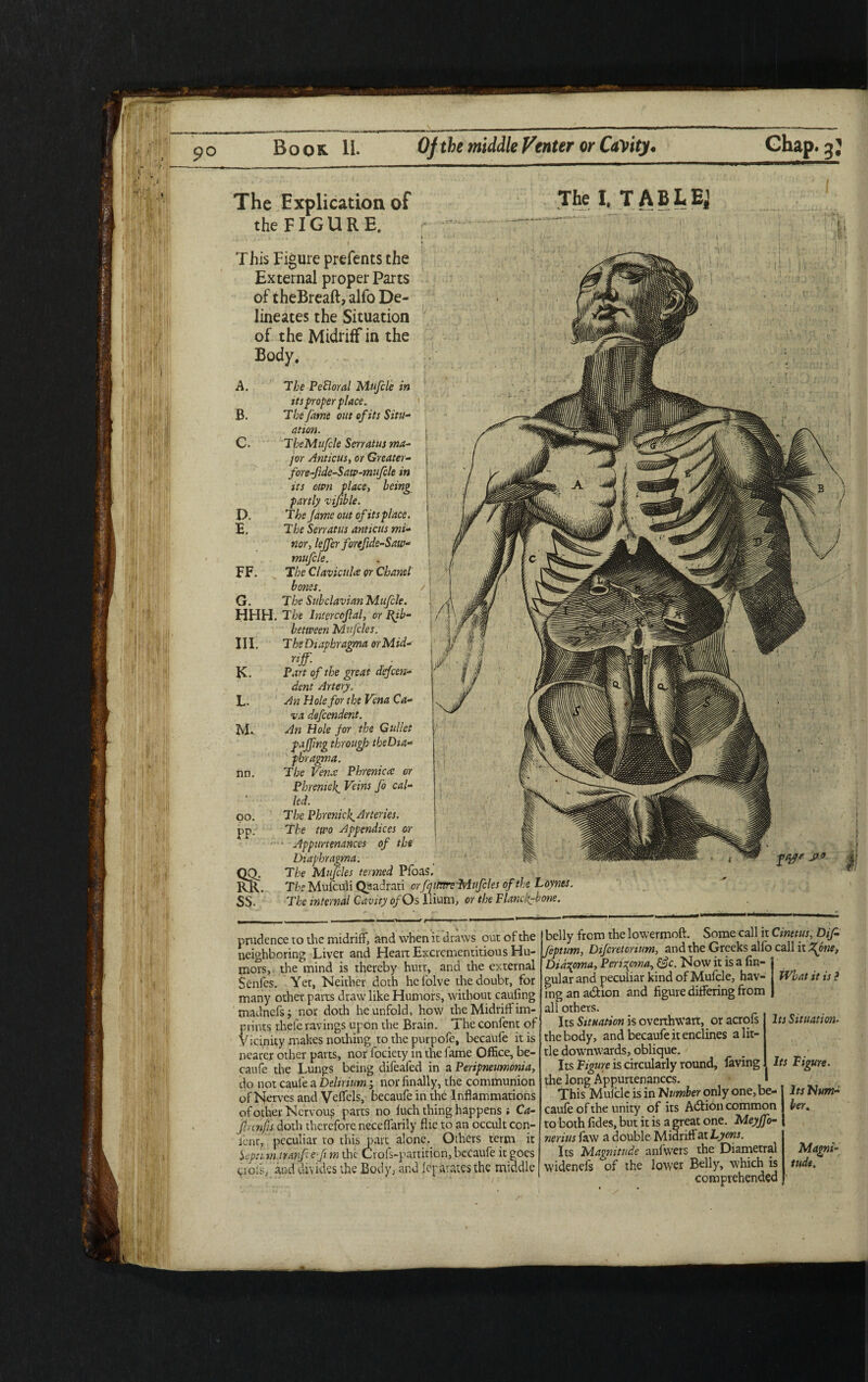 Book II. Of the middle Venter or Cavity. Chap, g’ The Explication of The I. TABLE; the FIG U R E. i * 4 ► This Figure prefents the External proper Parts of theBreaft, alfo De¬ lineates the Situation of the Midriff in the Body. A. The Pefioral Mufcle in its proper place. B. The fame out of its Situ-- at ion. C. TbeMufcle Serratus ma¬ jor Anticus, or Greater- for e-fide-S aw-mufcle in its own place, being partly vifible. D. The fame out of its place. E. The Serratus anticus mi¬ nor, leffer forefide-Saw- j mufcle. FF. Tbe Claviculce or Chanel bones. / G. Tbe Subclavian Mufcle. HHH. Tbe lntercofial, or Ffb- between Mufcles. III. T he Diapbragma or Mid¬ riff. K. P art of the great defeen- dent Artery, L. An Hole for the Vena Ca¬ va defeendent. M. . An Hole for the Gullet / faffing through tbeDia- pbragma. nn. The Vena: Phrenica or PhrenicVeins fo cal¬ led. oo. The Phrenic!^ Arteries. pp. The two Appendices or Appurtenances of the Diaphrama. The Mufcles termed Pfoas. RR. The Mufculi Qaadrati orfqm Mufcles of the Loynes. SS. The internal Cavity of Os Ilium, or the Flanc^-bone. fWe prudence ro die midriff, and when it draws out of the neighboring Liver and Heart Excrcmentitious Hu¬ mors, the mind is thereby hurt, and the external Senfes. Yet, Neither doth hefolve the doubt, for many other parts draw like Humors, without caufing madnefsj nor doth he unfold, how the Midriff im¬ prints thefe ravings upon the Brain. 1 he confent of Vicinity makes nothing to the purpofe, becaufe it is nearer other parts, nor fociety in the fame Office, be¬ caufe the Lungs being difeafed in a Peripneumonia, do not cauie a Delirium; nor finally, the communion of Nerves and Veffels, becaufe in the Inflammations of other Nervous parts no fuch thing happens i Ca- frcnfjs doth therefore neceffarily flie to an occult con- jenr, peculiar to this part alone. Others term it Septum trarf e f m the Crofs-pamtion, becaufe it goes ciois, and divides the Body, and lep.avates the middle belly from the lowermoft. Some call it Cinetus, Dif- (eptum, Diferetorium, and the Greeks alfo call it Zfne, Didqoma, Peristoma, &c. Now it is a lin¬ gular and peculiar kind of Mufcle, hav¬ ing an action and figure differing from ill others. Its Situation is overthwart, or acrofs :hebody, and becaufe it enclines alit- :Ie downwards, oblique. Its Figure is circularly round, laving :he long Appurtenances. This Mufcle is in 'Number only one,be- :aule of the unity of its Adtion common :o both Tides, but it is a great one. Meyffo- nerius faw a double Midriff at Lyons. Its Magnitude anfwers the Diametral ►videnefs of the lower Belly, w'hich is comprehended What it is ? Its Situation. Its Figure. Its Num¬ ber, Magni¬ tude.