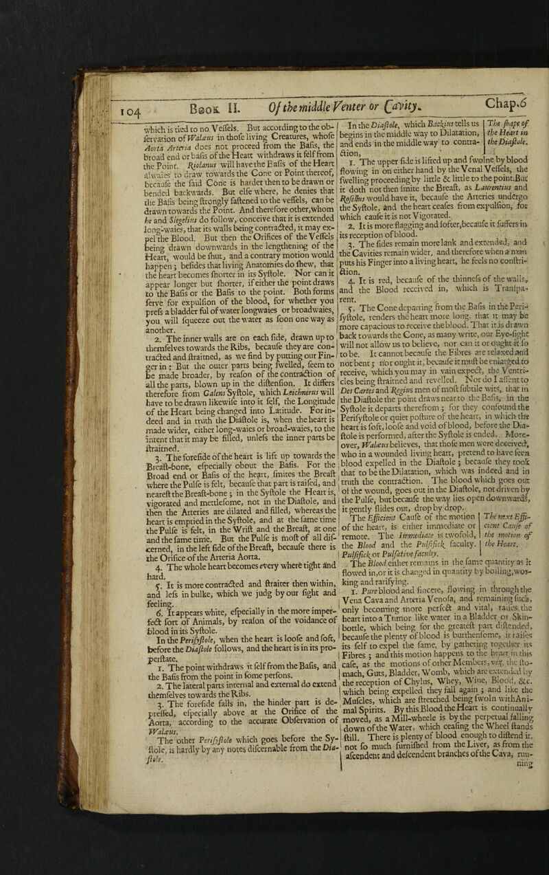 which is tied to no VeiTels. But according to the ob- iervation of Walatts in thofe living Creatures, whofe Aorta Arteria does not proceed from the Bafis, the broad end or bafis of the Heatt withdraws it felf from the Point. Riolanus will have the Bafis of the Heart In the Diaftole, which Backitts tells us begins in the middle way to Dilatation, and ends in the middle way to contra¬ ction, I. The upper fide is lifted up and fwo The fhape of the Heart in the Diafiole. ne by blood the Point. Riolanus wmnavetnecans oi me ncan ■*-.. , j, ,r , ,r<ofr'1c< ahvaies to draw towards the Cone or Point thereof,! flowing in on either hand by the Venal V ffels, the becaufe the faid Cone is harder then to be drawn or j fwelling proceeding by little & little to the point.But bended backwards. But elfe where, he denies that j it doth not then finite the Breaft, as Laurentius and the Bafis being ftrongly fattened to the veffels, can be ; fy/eBus would have it, becaufe the Arteries undergo drawn towards the Point. And therefore other,whom the Syftole, And the heart ceafes from expulfion, for he and Slegetius do follow, conceive that it is extended which caufe it is not Vigorated. fjW (tllvl v* w v 4 ' 7 long-waies, that its walls being contraded, it may ex pel the Blood. But then the Orifices of the Veffels being drawn downwards in the lengthening of the Heart, would be fliut, and a contrary motion would happen; befides that living Anatomies do fhew, that the heart becomes fhorter in its Syftole. Nor can it appear longer but ttiorter, if either the point draws lo the Bafis or the Bafis to the point. Both forms ferve for expulfion of the blood, for whether you prefs a bladder fill of water longwaies or broadwaies, you will fqueeze out the water as foon one way as another. 2. The inner walls are on each fide, drawn up to 2. It is more flagging and fofter,becaufe it flutters in its reception of blood. 3. The fides remain more lank and extended, and the Cavities remain wider, and therefore when a man puts his Finger into a living heart, he feels no conftri- ftion. 4. It is red, becaufe of the thinnefsof the walls, and the Blood received in, which is Tranlpa- rent. > y. The Cone departing from the Bafis in the Peri- fyftole, renders the heart more long, that it may be more capacious to receive the blood. That it.is drawn back towards the Cone, as many write, our Eye-fight 2. ineinnerw7aus arc uii cai.nuuc, uiuwn ul-uj ... ^ -' . u .iv ihemfelves towards the Ribs, becaufe they are con- will not allow us to believe, nor can it or ought it in traded and ftraitned, as we find by putting our Fin- to be. It cannot becaufe the Flores are lelaxed and oer in : But the outer parts being nvelled, feemto not bent ; lYor ought it, becaufe it nmft^be enlarged to Be made broader, by reafon of the contradion of .receive, which you may in vain exped, the Vcntn- all the parts, blown up in the diftenfion. . It differs cles being ftraitned and revelled Not do lament to therefore from Galens Syftole, which Leichnerus will : Des Cartes and Regius men oi mod fubtile wits, that in have to be drawn likewife into it felf, the Longitude j theDiaftole the point draws near to the Bafis, in the of the Heart being changed into Latitude. For in- Syftole itdepavts deed and in truth theDiaftole is, when the heart is made wider, either long-waies or broad-waies, to the intent that it may be filled, unlefs the inner parts be ftraitned. 3. The forefide of the heart is lift up^towards the C/T iiv/tv X U w —*-- J J Perifyftole or quiet pofture of the heart, in which tha heart is foft,loofe and void of blood, before the Dia- ftole is performed, after the Syftole is ended. More¬ over, WaUus believes, that thofe men were deceived, who in a wounded living heart, pretend to have fecn . - . •« t n 1 ( ,_r. .1 v Breaft-bone, efpecially obout the Bafis. For the ; blood expelled in the Diaftole; becaufe they too,.c Broad end or Bafis of the heart, fmites the Breaft , that to be the Dilatation, which was indeed and in where the Pulfe is felt, becaufe that part is raifed, and , truth the contradion. _ The blood which goes out aeareft the Breaft-bone; in theSyftole the Heart is, of the wound, goes out in the Diaftole, not driven by vigorated and mettlefome, not in theDiaftole, and the Pulfe, but becaufe the-way lies open downward*, then the Arteries are dilated and filled, whereas the it gently Aides out, dropsy drop., heart is emptied in the Syftole, and at the fame time The Efficient Caufe or the motion [he Pulfe is felt, in theWrift and the Breaft, atone of the heart, is either immediate or and the fame time. But the Pulfe is moft of all dif- remote. The Immediate is twofold. The tiext Effi¬ cient Caufe of the motion of the Heart. :erned in the left fide of the Breaft, becaufe there is the Blood and the Pulfificl^ faculty. ^Th^whokh^Scom'S^ery where tight Snd! ^The'ltW either remaps in the fame quantity as it i flowed in,or it is changed in quantity by boiling.woi- c It is more contraded and ftraiter then within, king and ratifying. . ' . , , and lefs inbulke, which we judg by our fight and = I. Bure blood and fincere, flowing in through me reeling i Vena Cava and Arteria Venofa, and remaining fuca, 6. It appears white, efpecially in the more imper-1 only becoming more perfed and vital, raiies tne fed' fort o? Animals, by reafon of the voidanceof heart into a Tumor like water in a Bladder or Skm- SnnrUn^ Svftole * i bottle, which being for the greateft part diftended. In the Pmlftok, when the heatt is loofe andfoft,! becaufe the plenty of blood is burttaiiomc, it miles before the Diaftole follows, and the heart is in its pro- its felf to expel the fame, by gathcimg together its ne ftare I Fibres ; and this motion happens to the heart m this p i The point withdraws it felf from the Bafis, and 'cafe, as the motions of other MemUts,^, ihciio- the Bafis from the point in feme petfons. | mach, Guts, Bladder, Uombwh^att pended by 2 The lateral parts internal and external do extend . the reception of Chylus, Whey, \ > B. oocc. themfelvestowards the Ribs I which being expelled they fall again ; and like the themfelves tow^d hin(Jer • de_. Mufdes, which ate fttetched being fwoln with An i- prefled, efpecially above at the Orifice of the mal Spirits. By thtsTioodtheHeart is contmiiaily Vorta, according7 to the accurate Obfetvation of moved,* ^Mill-wheele^s ““S VaUus. The other Perifyfiole which goes before the by- lole, is hardly by any notes difcernable from the Dia- tsh. down of the Water, which ceafing the Wheel ftands ftill. There is plenty of blood enough to diftend it, not fo much furniftied from the Liver, as from the afeendem and dependent branches ofthe Cava, run¬ ning