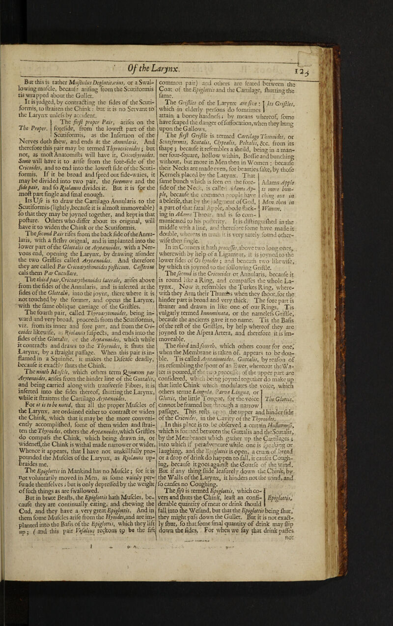 Bat this is rather Mufculus Delimitorius, or a Swal¬ lowing mufcle, becaufe arifing from the Scutiformis ris wrapped about the Gullet. It is judged, by contracting the fides of the Scuti- formis, to itraiten the Chink; but it is no Servant to the Larynx unlefs by accident. The firfi proper Pair, arifes on the The Proper, forefide, from the loweft part of the 1 Scutiformis, as the Infertion of the Nerves doth (hew, and ends at the Annularis. And therefore this pair may, be termed Tbyrocricoides; but not, as moft Anatomifts will have it, Cricotbyroides. Some will have it to arife from the fore-lide of the Cricoides, and to end into the loweft fide of the Scuti¬ formis. If it be broad and fpred out fide-waies, it may be divided into two pair, the foremore and the fide pair, and fo fiiolanus divides it. But it is for the moft part fingle and final enough. ItsU/S is to draw the Cartilago Annularis to the Scutiformis*(lightIy,becaufe it is alraoft immoveable) fo that they may be joyned together, and kept in that pofture. Others who differ about its original, will have it to widen the Chink or the Scutiformis. Thefecond Pair rifes from the back fide of theAnnu- Jaris, with a flefliy orignal, and is implanted into the lower part ofthe Glottalis or Aryunoides, with a Ner¬ vous end, opening the Larynx, by drawing afunder the two Griftles called Aryunoides. And therefore they are called Par Cricoarythenoidespofticiim. Cajferins cals them Par CucuUare. . The third pair, Cricoarytbenoides later ale, arifes above from the fides ofthe Annularis, and isinferted at the fides of the Glottalis, into the joy nt, there where it is not touched by the former, and opens the Larynx, with the fame oblique carriage of the Griftles. The fourth pair, called Thyroarytenoides, being in¬ ward and very broad, proceeds from the Scutiformis, viz. from its inner and fore part, and from the Cri¬ coides likewise, a Riolaniis fufpedts, and ends into the fides ofthe Glottalis, , >r the Aryunoides, which while it contracts and draws to the Thyroides, it flints the ILarynx, by a ftraight paffage. When this pair is in¬ flamed in a Squinfie, it makes the Difeafe deadly, becaufe it exadlh;/ fiiuts the Chink. The ninth Mufcle, which others term Qnintum par Aryttnoides, arifes from the hinder line of the Guttalis,: and being carried along with tranfverfe Fibres, it is inferted into the fides thereof, fliutting the Larynx, while it ftraitens the Cartilago Aryunoides. For it is to be noted, that all die proper Mufcles of the Larynx, are ordained either to contraft or widen the Chink, which that it may be the more conveni¬ ently accompliflied, lome of them widen and ftrai- ten the Thyroides, others the Aryunoides,which Griftles do compafs the Chink, which being drawn in, or widened,the Chink is withal made narrower or wider. Whence it appears, that I have not unskillfully pro¬ pounded the Mufcles of the Larynx, as fijolanus up- braidesme. , , The Epiglottis in Mankind has no Mufeie; for it is not voluntarily moved in Men, as fome vainly per- fwade themfelves ; but is only depreffed by the weight of fuch things as are fwallowed. But in brute Beafts, the Epiglottis hath Mufcles, be¬ caufe they are continually eating, and chewing the Cud, and they have a very great Epiglottis. And in them fome Mufcles arife from the Hyoidcs,and are im¬ planted into the Bafis ofthe Epiglottis, which they lift up j ( and this pair Ve/alnf reckons tp be the fife Adams Apple is more bun¬ ching out in Men then in common pair) and others arc fcated between the Coat of the Epiglottis and the Cartilage, fliutting the fame. The Griftles of the Larynx are five : j Its Griftles. which in elderly perfions do fomcimes I attain a boney hardnefs; by means whereof, fome havefeaped the danger offuffocation,when they hung upon the Gallows. The fir ft Griftle is termed Cartilago Thuroides, or Scutijormis, Scutalis, Clypealis,. Peltalis, &c. from its fliape ; becaufe it refembles a flieild, being in a man¬ ner four-fquare, hollow within, Boflie and bunching without, but more in Men then in Women ; becaufe their Necks are made even, for beauties fake, by thofe Kernels placed by the Larynx. That fame bunch which is feen on the fore¬ fide of the Neck, is caller idams Ap¬ ple, becaufe the common people have a beleife, that by the judgment of God, apart of that fatal Apple, abode flick- jj Women. ing in Adams Throat, and is fo corn- I municated to his pofterity. It is diftinguifhed in the middle with a line, and therefore fome have made it double, whereas in truth it is very rarely found other- wife then fingle. In its Corners it hath proceftes,above two long ones* wherewith by help of a Ligament, it is joyned to the lower fides of Os hyoides; and beneath two likewife, by which tis joyned to the following Griftle. The fecond is the Cricoeidcs or Annularis, becaufe it is round like a Ring, and ccmpaffes the whole La¬ rynx.. Now it refembles the Turkes Ring, where¬ with they Arm their Thumbs when they (hoot, for the hinder part is broad and very thick. The fore part is ftraiter and drawn in like one of our Rings. Tis vulgarly termed Innominata, or the namelefs Griftle, becaufe the ancients gave it no name. Tis the Bafis ofthe reft of the Griftles, by help whereof they are joyned to the Afpera Artera, and therefore it is im¬ moveable. The third and fourth, which others count for one,' when the Membrane is taken of. appears to be dou¬ ble. Tis called Arutainoeides, Guttalis, byreafon of its refembling the fpout of an Ewer, whereout theWa- ter is poured,if the twp.proqefies of the upper part are confidered, which being joyned together do make up that little Chink which modulates the voice, which others terme Lingula, Parva Lingua, or Glottis, the little Tongue, for the voice cannot be framed but Trough a narrow paffage. This refts upon the upper and hinder fide of the Cricoides, in the cavity ofthe Thyroides. In this place is to be obferved a certain Hollotmefs, which is formed between the Guttalis and theScutafis, by the Membranes which gather up the Cartilages into which if peradventure while one is fpsaking or laughing, and the Epiglottis is open, acrunaofbread or a drop of drink do happen to fall, it caufes Cough¬ ing, becaufe itgocsagamft theGourfe of the wind. But if any thing Aide leafurely down the Chink, by the Walls ofthe Larynx, it hinders not the wind, and focanfesno Coughing. The fift is termed Epiglottis, which co- I vers and (huts the Chink, leaft an confi- j Epiglottis, derable quantity of meat or drink fhould I fall into the Wefand, but that the Epiglottis being Ihur,’ they might pafs down the Gullet. But it is not exact¬ ly (hut, fo that fome final quantity of drink may flip down the fi:des> For when we lay jhat drink paffes not The Glottis.