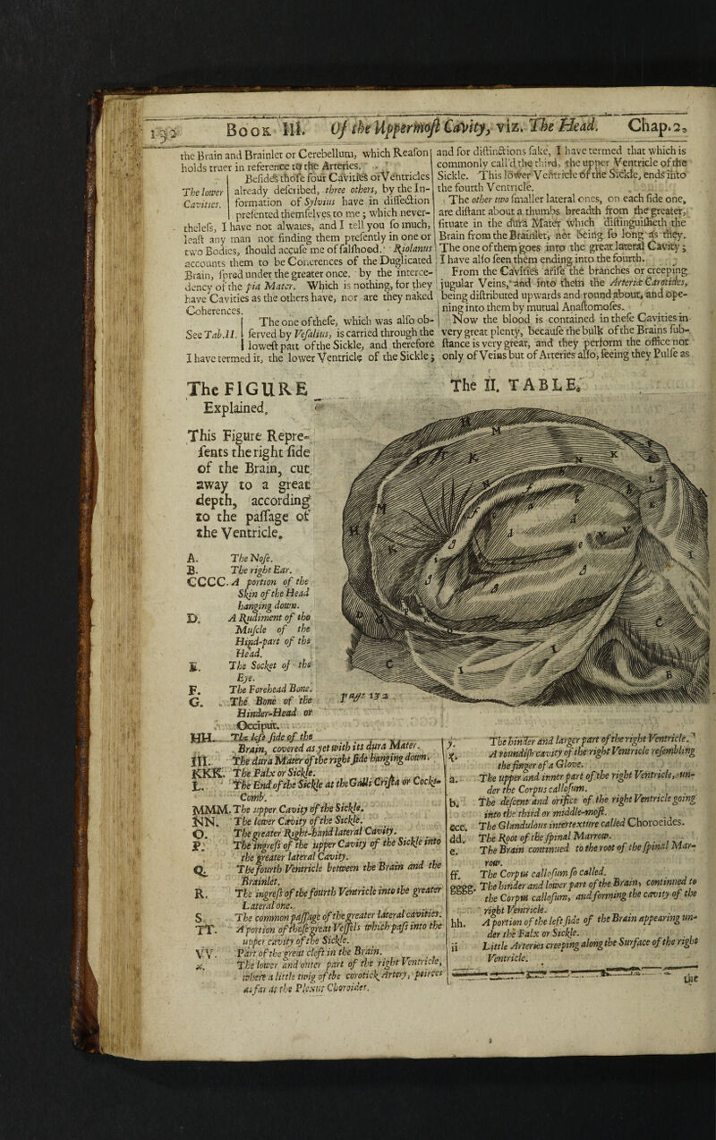 If All The lower Cavities. the Brain and Brainier or Cerebellum, which Reafon holds truer in reference to the Arteries. . • Befideft thole four Cavities orVentricles already deferibed, three others, by the In¬ formation of Sylvius have in diffedtion prefentcdthemfelvesto me; which never- thelefs, I have not ahvates, and I tell you fo much, leaft any man not finding them ptefently in one or two Bodies, fhould acpufe me of falfhood.' Rjolanus accounts them to be Coherences of the Duplicated Brain, fpred under the greater once, by the interce- dency of the pa Mater. Which is nothing, for they have Cavities as the others have, nor are they naked Coherences. , : The one of thefe, which was alfo ob- ferved by Vcfalius, is carried through the loweftpart of the Sickle, and therefore I have termed it, the lower Ventricle of the Sickle j Salab.ll. and for diftin&ions fake, I have termed that which is commonly call’d the third, the upper Ventricle of the Sickle. This lower Vcurricle of the Sickle, ends into the fourth Ventricle. The other two fmaller lateral ones, on each fide one, are diftant about a thumbs breadth from the greater, fituate in the dura Mater which diftinguifheth the Brain from the Brainlet, not being fo long as they. 1 The one of them goes into the great lateral Cavity; ; I have alio feen them ending into the fourth. 1 From the Cavities arife the branches or creeping | jugular Veins,'and into theta the Arteries Carat ides, being diftributed upwards and roundabout, and ope¬ ning into them by mutual Anaftomofes. _ - Now the blood is contained in thefe Cavities in very great plenty, becaufe the bulk of the Brains fub- ftance is very great, and they perform the office not onlv of Veins but of Arteries alfo, feeing they Pulfe as ]j .,,1 The FIGURE Explained. This Figure Repre= fents the right fide of the Brain, cut away to a great depth, according to the paflage of the Ventricle, A. The Nofe. B- The right Ear. CCCC. A -portion of the Spn of the Head hanging down. D* A Ejuhment of the Mujcle of the Hind-part of the Head. The Socket oj tbs Eye. F. The Forehead Bone. G. The Bone of the Hinder-Head of II. TABLE. Occiput. HH. TUkftfifcofth' 1 I Brain, cowered as.yet With its dura Mater. ! III. The dura Mater of the right fide hanging down. KICK. The Falx or Sickle. , %, The End of the Sickle at the GtOli Cnjta or Cock*- Comb. MMM. The upper Cavity of the Sickle* 3SIN. Tbe lower Cavity of the Sickle. O. The greater Bight-kniid lateral Cavity. P. The ingrefs of the upper Cavity of the Sickle into the greater lateral Cavity. The fourth Ventricle between the Brain and the Brainlet. R. The ingrefs of the fourth Ventricle into the greater Lateral one. S The commonpaffage of the greater lateral cavities. TT. A portion of thefe great Vejfels which pafs into the upper cavity of the Sickle. VV- P'art of the great cleft in the Brain, x. The lower and outer part of the right Ventricle, when a little twig of the corotick. Artery, peirces as far at the Plexus Cboroides. £ The hinder and larger part of the right Ventricle. ^ ^ A toundip cavity of the right Ventricle refembhng the finger of a Glove. a. The upper and inner part of the right Ventricle, un¬ der the Corpus callofum. b. The defient and orifice of the right Ventricle going ihto the third or middle-mofi. 6cc. The Glandulous intertexture called Choroeides. dd.* The Boot of the/final Marrow. - e. The Brain continued to the root of the fpmal Mar¬ row. ff. The Corpus callofumfo called. eeee T he hinder and lower part of the Brain, continued to the Corpus callofum, and forming the cavity of the right Ventricle* hh. A portion of the left fide of the Brain appearing un¬ der the Falx or Sickle. ii Ljttle Arterks creeping along the Surface of the right Ventricle. i