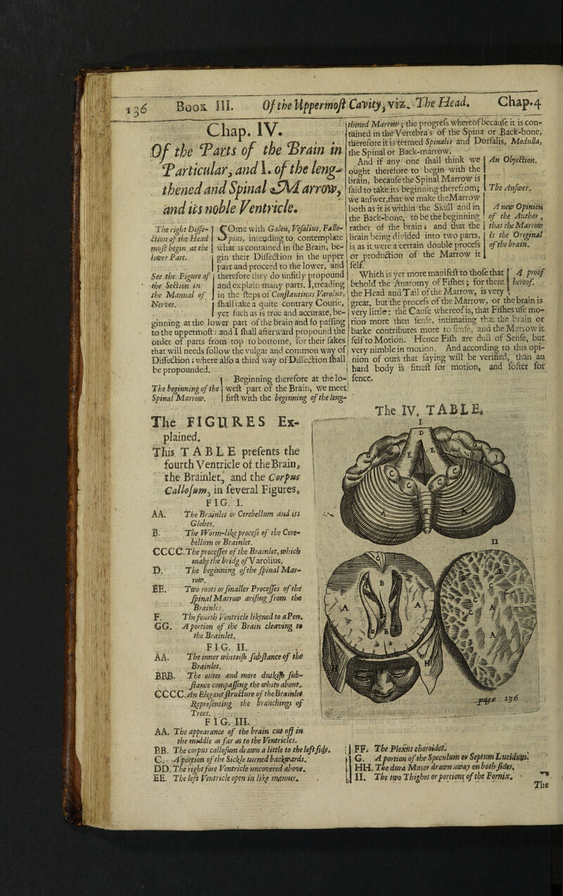 Chap. IV. Of the Tarts of the Train in Tarticular, and i. of the leng¬ thened and Spinal arrow, and its noble Ventricle. The right Dijfe- J fOme with Galen, Vefalius, Fallo- BionoftheHead l pins, intending to contemplate vwfl begin at the j what is contained in the Brain, be- lower Part. j gin their Difledtion in the upper I part and proceed to the lower, and See the Figure of therefore they do unfitly propound and explain many parts. I,treading in the ftepsoi Conjlantinus Varolus, jfhall take a quite contrary Courfe, yet fuch as is true and accurate, be¬ ginning at the lower part of the brain and lo palling to the uppermoft; and I ftiall afterward propound the order of parts from top to bottome, for their fakes that will needs follow the vulgar and common way of Difledion; where alfo a third way ofDifiedion ftiall be propounded. Beginning therefore at thelo- The beginning of the weft part of the Brain, we meet, Spinal Marrow. firft with the beginning of the leng- ■the Section in the Manual of Nerves. thened Marrow; the progrefs whereof becaufe it is con¬ tained in the Vertebra’s of the Spina or Back-bone, therefore it is termed Spinalis and Dorfalis, Medulla, the Spinal or Back-marrow. And if any one lhall think we ought therefore to begin with the brain, becaufe the Spinal Marrow is laid to take its beginning therefrom; we anfvver,that we make theMarrow both as it is within the Skull and in the Back-bone, to be the beginning „ rather of the brain; and that the | that theMarrow brain being divided into two parts, is the Original is as it were a certain double procefs of the brain. or produdion of the Marrow it , feif. . Which is yet more manifeft to thofe that j 4 proof behold the Anatomy of Fifties; for there j hereof. 1 the Head and Tail of the Marrow, is very \ ‘ great, but the procefs of the Marrow, or the brain is very little: the Caufe whereof is, that Fifties ufe mo¬ tion more then fenfe, intimating that the brain or barke contributes more tofenfe, and the M mow it felf to Motion. Hence Fifti are dull of Senfe, but very nimble in motion. And according to this opi¬ nion of ours that faying will be verified, than an hard body is fitteft for motion, and fofter for fence. An Objection. The Anfwer. A new Opinion of the Author, The IV, TABLE. The FIGURES Ex- plained. This TABLE prefents the fourth Ventricle of theBrain, the Brainlet3 and the Corpus Callojum3 in feveral Figures* FIG. I. A A. The Bra-inlet or Cerebellum and its Globes. B> The Worm-like procefs of the Cere- helium or Brainlet. CCCC.TheproceJfes of the Brainlet,which make the bridg ofVarolius. D. The beginning of the Jfinal Mar¬ row. EE. Two roots or fmaller Procejfes of the fpinal Marrow anfmg from the Brainlet. F. The fourth Ventricle likened to aPen. GG. A portion of the Brain cleaving to the Brainlet. FIG. II. AA. The inner whiteifh fubjlanceof the Brainlet. BBB- The outer and more duskifb fub- Jlance compajjing the white about„ CCCC.An Elegantfiruflure of theBramle* Peprefenting the branchings of Trees. ■ F 1 G. III. A A. The appearance of the brain cut off in the middle as far as to the Ventricles. BB. The corpus callofum drawn a little to the leftfiefy. C. A portion of the Sickje turned backwards. DD. The right fore Ventricle uncovered above. [ FF. The Plexus choroidef f G. A portion of the Speculum or Septum Luciduvn [ HH. The dura Mater drawn away on bothffdes.