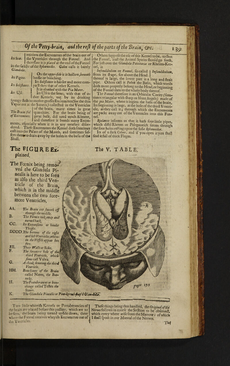 Of the Vetty-broin, and the reft of the farts ofthe Strain, iy-c. 13 9 Its Seat. Its Figure. Its Subjlasice. Its XJfi. The Brain ful of Excrements. receives the Excrements ofthe brain out of the Ventricles through the Funnel. And therefore it is placed at the end of the Funnel in the laddie of the Sphrenoides. Galen calls it barely Gland tt la. On the upper-fide it is hollow,beneath boifie or bunching. Its Subfiance is harder and more corn- pad then that of other Kernels. It is cloatbed with the Pia Mater. Its \Jfe is the fame, with that of o- ther Kernels, vi%. by its drinking Ipungy fleflr to receive gro(TerExcrements(for the thin Vapor out at the Sutures) collected in the Ventricles ' of the brain, many times in great quantities. For the brain being of great bulk, did need ti)uch Aliment, and therefore it breeds many Excre¬ ments, efpscially when it is in any meafure difor- Excrements the Kernel doth fomtimes calt into the Palate of the Mouth, and fomtimes fuf- lers thereto drain ^way by the holes in the balls of the Skull. The FIGURE Ex. plained. The Fornix being remo«? ved the Glandula Pi- nealis is here to be feed as alfo the third Ven¬ tricle of the Brain5 which is in the middle between the two fore** more Ventricles, Others luppofe the ufe of this Kernel to be, to fhut the Funnel, leaft the Animal Spirits fhouldgo forth. For juft over the Glandula Pituitaria or Rheum-Ker¬ nel, is Infundibulum or Funnel, fo called | Infundibulum. from its lhape, for above the Head | thereof is large, the lower part is a long and ftraic pipe. Others call it Pelvis the Bafin, which words doth more properly belong to the Head,or beginning of the Funnel then to the whole body thereof. - The Funnel therefore is an Orbicular Cavity ffom¬ times triangular with lharp or blunt Angels) made of the pia Mater, where it ingirts the bafis of the brain. Its beginning is large, at the hole of the third Ventri¬ cle, as they call it; through which the Excrements are packt away out of the Ventricles into this Fun¬ nel. 1 ! BJolanus informs us that it hath four little pipes, which diftil Rheum or Phlegmatick ferum through the four holes refting upon the SelLe Sphenoidece. Its of a dark Colour, and if you open it you (hall find it full of thick Flegm. the V. TABLE. .s'. A A. The Brain cut fmootb of through the middle. B. The Fornix toohjiway and turned bacl». CC. Its Expanfions or hinder Thighs. DDDD.Tfo bottom of the right and left Ventricles,where* in the Veffels appear be- fore. EE. Their Walls or Sides. F« The foremore hole of the! third Ventricle, which fome call Vulva. G. A chinl^denotmg the third Ventricle. Bundoings of the Brain called Nates, the But¬ tocks. The Protuberances or bun¬ ching* called Teftes the Stones. The Glandula Pinealisor Pine-kcrnel-fiap'd Glan-duUT. HH II K V59 ■Mft* Two little whiteifh Kernels or Portuberancies of the brain are placed before this paflage, which are to befeen, the brain being turned upfidedown, there where the Fuunel receives wheyifn Excrements out of the Ventricles. • Thefe things being thus handled, the Original of thi Nerves follows in courfe the Section to be obferved ' which every where arife from the Marrow, of which I ftiall fpeak in our Manual of the Nerves. TO