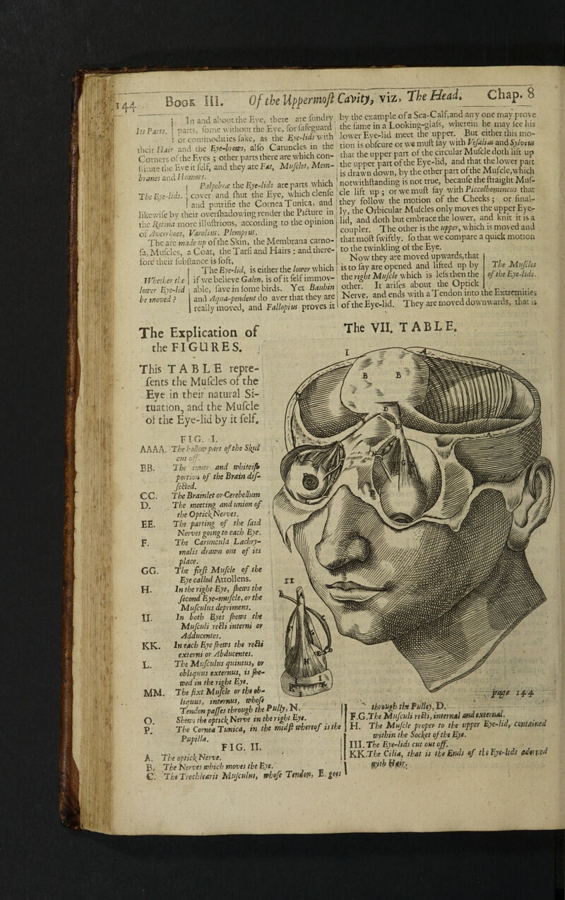 | In and about the Eye, there are fundry Its Parts. \ parts, fome without the Eye, for fafeguard ; : or commodities fake, as the Eye-lids with their Hair and the Eye-brows, alfo Caruncles in the Corners ofthe Eyes ; other parts there are which con¬ i'. i:ute the Eve it felf, and they are Ext, Mufclts, Mem- ; branes and I~lamors. . | t Palpcbra the Eye-lids are parts which ; The Eye-lids, ! cover and ihut the Eye, which clenfe I ! and putrific the Cornea Tunica, and I like wife by their overfhadowing render the Picture in the Retina more illuftrious, according to the opinion ofAvcrrhoes, Varolius. PlempiUS. The arc made up of the Skin, the Membrana carno- fa, Mufcles, a Coat, the Tarfi and Hairs : and there¬ fore their fubftance is foft, The Eye-lid, is either the lower which if wc believe Galen, is of it felf immov¬ able, lave in fome birds. Yet Baubin and Aqua-pendent do aver that they are really moved, and Fallopius proves it Whether ti e lower Eye-hd be moved ? The Explication of the FIGURES. < This TABLE repre- fents the Mufcles of the Eye in their natural Si¬ tuation, and the Mufcle ol the Eye-lid by it felf. FIG. I. AAAA. The hollow part ofthe Skill by the example of a Sea-Calf,and any one may prove the fame in a Looking-glafs, wherein he may fee his lower Eye-lid meet the upper. But either this mo¬ tion is obfcure or we muft lay with Vefalias and Sylvius that the upper part of the circular Mufcle doth lift up the upper part ofthe Eye-lid, and that the lower part is drawn down, by the other part ofthe Mufcle,which notwithftanding is not true, becaufe theftraight Muf¬ cle lift up ; or we muft fay with Eiccolhomineus that they follow the motion of the Cheeks; or final¬ ly, the Orbicular Mufcles only moves the upper Eye¬ lid, and doth but embrace the lower, and knit ins a coupler. The other is the upper, which is moved and that moft fwiftly. fo that we compare a quick motion to the twinkling of the Eye. Now they are moved up wards,that is to fay are opened and lifted up by the right Mufcle which is lefs then the other. It arifes about the Gptick Nerve, and ends with a Tendon into the Extremities ofthe Eye-lid. They are moved downwards, that is The VII. TABLE. The Mufcles ofthe Eye-lids. BB cut off. The inner and whiteifr portion of the Brain dif¬ fered. The Bramlet or-Cerebellum The meeting and union of the OptickNerves. The parting of the faid Nerves going to each Eye. The Carunculd Lachry- malis drawn out of its place. The firfl Mufcle of the Eye called Attollens. In the right Eye, f lews the fecond Eye-mufcle, or the Mufculus deprimens. In both Eyes fhews the Mufculi re Hi interni or Adducent es. In each Eye fhetvs the refit externi or Abducentes. The Mufculus quint us, or cbhquus extemus, is fre¬ tted in the right Eye. Tbe fixt Mufcle orthiob- liruus, intemus, whofe . Tendon paffes through the Fully, N. Shews the optick Nerve in the right Eye The Cornea Tunica, in the mid ft whereof is the Pupilla. j FIG. II. A. The optickfNerve. \ B. The Nerves which moves the Eye. C. The Trochlear if MuJchIhs, whofe Ttndw, B'.goft CC. D. EE. F. GG. H. II. KK. L. MM. O. P. \ iw w* A th ough the Pulley, D. F.G.T he Mufculi re^i,internal and external. H. The Mufcle proper to the upper Eye-lid, contained within the Socket ofthe Eye. III. The Eye-lids cut out off. KK.The Cilia, that is the Ends of tU Eye-lids fldt;\:cd ptb