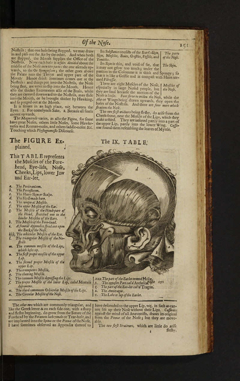 Noftrils : that one hole being flopped, we may draw in and pals out the Air by the other. And when both are flopped, the Mouth fupplies the Office of the Noftrils. Now each hole is again divided about the middle of the Nofe into two parts: the one afeends up¬ wards, to the Os Spongiofum; the other goes above the Palate into the Throat and upper part of the Mouth- Hence drink fomtimes comes out at the Noftrils: and things put into the Noftrils, the Nofe being fhut, are wont to flip into the Mouth. Hence alfo the thicker Excrements alfo of the Brain, while they are carryed downward to the Noftrils, may Aide into the Mouth, or be brought thither by Hawking, and fo purged out at the Mouth.' It is fituate in an high place, vi%. between the Eyes. i. For comelynefs Sake. 2. Becaufe all fmels* 1 mount upwards. The Magnitude varies, as alfo the Figure, forfome have great Nofes, others little Nofes, lome Hawke- nofes and Roman-nofes, and others faddle-nofes &c. Touching which Pbyftognomijls Difcourfe. X<I Its Subjiance confifts of the Scarf.-Skin, T be parts Skin, Mufcles, Bones, Grtjlles, Vejfels, and of the Nofe. Tunicles. . *cs s^n is thin, and void of fat, that The Skin. it may not grow too much j under the partion in the Colomme it is thick and Spungy; fo med^X^3GnftlCaUd iS Compaft vvithHairster- T here arc eight Mufcles of the Nofe, Mufcles of especially in large Nofed people, but the Nofe they are final bccaufe the motion of the Nofe is little. Four ferve to widen the Nofe, while the fl °r Wings; being drawn upwards, they open the Andth«eare/^ «««** The two firf widnershzmg flefhy, do arife from the Cheek-bone, near the Mufcle of the Lips, which they make a third. They are inferted partly into a part of the upper Lip, partly into the lower Wing. Caffe- nus found them refembling the leaves of Myrtle, JJ The FIGURE Ex- plained. This T ABLE reprefents the Mufcles of the Fore¬ head, Eye -lids, Nofe* Cheeks,Lips, lower Jaw and Ear-let. The IX. T A BIEJ 4. h. C. d. e. f g- m. ft. The Pericranium. The Periojleum. The Hairy Skin or Scalpe. The Skyll made hare. The temporal Mufcle. The upper Mufcle of the Far. The Mufcle of the Hind-part of the Head, Jlretched out to the hinder Mufcles of the Ears. * h. The Mufcle of the Fore-head. i. A frontal Appendix fpred out upon the Bacl^of the Nofe. Iff The orbicular Mufcle of the Eye. 1. The triangular Mufcle of the No- firils. The common mufcle of the Lips, which lefts up. Thefirfl proper mufcle of the tipper Lip. o. The fecond proper Mufcle of thi upper Lip. p. The trumpeters Mufcle. q. The chewing Mufcle. r. The common Mufcle depreffmg the Lips. | xxx.The part of the Ear let termed Helix, f. The proper Mufcle of the lower Lip, caled Mental is y. The oppofite Part cal'd hnthdh£%?e 15L deprimens. | The part of the Ear-let cd/’d Tragus, tt. The third commmon Orbicular Mufcle of the Lips. j a. The Antitragus, v. The Circular Mufcle of the Nofe. | v. The L obe or lap of the Earlet. The other two which are commonly triangular, and like the Greek letter A on each fide one, with a fharp and flefhy beginning, do grow from the Suture of the Forehead by the Foramen lachrymale or Tear-hole,and are implanted into the Spina or the Pinnw oftheNofe. I have fomtimes obferved an Appendix thereof to have defeended to the upper Lip, in fuch as can¬ not lift up their Nofe without their Lips. Cajferius againft the mind of all Anatomifts, draws its original from the Finnre of the Nofe $ but they are move- able. The two flrfl Straitmrs, which are little do arife