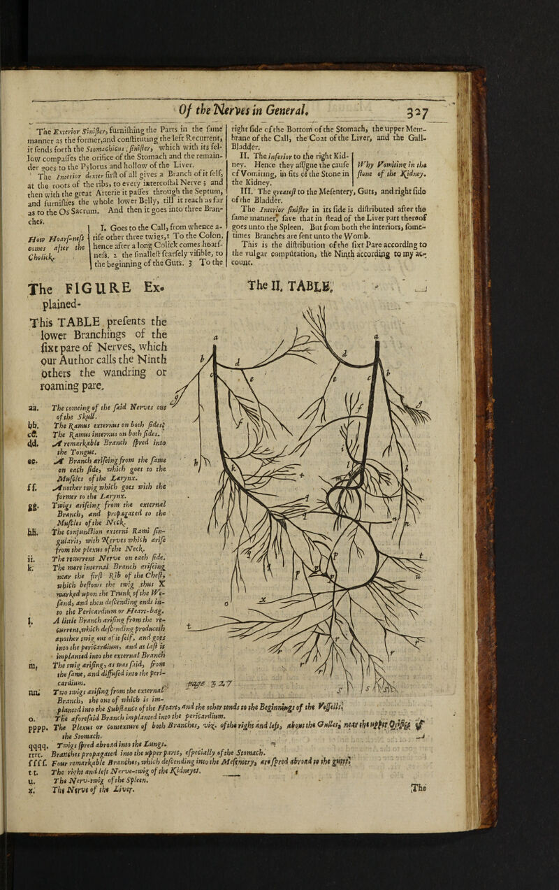 'The Exterior Slnifier, furnifhing the Parts in the fame manner as the former,and conllituting the left Recurrent} it fends forth the Stomachicus: finifler, which with its fel¬ low compares the orifice of the Stomach and the remain¬ der ooes to the Pylorus and hollow of the Liver. The Interior dtxter firfl of all gives a Branch oi it felf, at the roots of the ribs, to every istercoftai Nerve ; and then with the great Arterie it pafles through the Septum, and furniflies the whole lower Belly, till it reach as far as to the Os Sacrum. And then it goes into three Bran- \ I. Goes to the Call, from whence a- rife other three twies,t To the Colon, hence after a long Colick comes hoarf* nefs. z the fmalleft fcarfely vifible, to i the beginning of the Guts. 3 To the Why Vomiting In tha fione of the Ifidney. How Hoarf-nefs Carnes after the Cho licks right fide of the Bottonf of the Stomach, the upper Mem¬ brane of the Call, the Coat of the Liver, and the Gall~ Bladcjer. ■■■' II. The inferior to the right Kid¬ ney. Hence they afl^gne the caufe cf Vomiting, in fits pf the Stone in the Kidney. III. The greateft to the Mefentery, Guts, and right fide of the Bladder. The interior finifler in its fide is diftributed after the fame manner? fave that in ftead of the Liver part thereof goes unto the Spleen. But from both the interiors, fome- times Branches are fent unto the Womb. This is the diftrjbutiorr of the fixt Pare according to the vulgar computation, the Ninth according to iny at> count. The FIGURE Ex- plained- This TABLE prefents the lower Branchings of the fixt pare of Nerves, which <?ur Author calls the Ninth Others the wandring or roaming pare. The comeing of the /kid Nerves cue of the Skull. The Ramus externus on both fidesi The Ramus internus on both /ides. St remar\ctblt Branch tyred into the Tongue. . St Branch arifeing front the fame on each fide, which goes to the Mufcles of the Larynx. Another twig which goes with the former to the Larynx. Twigs arifeing from the external Branch, and propagated to the Mufcles of the Neck The Conjunflion externi Rami fin- gal arts, with Serves which arife from the plexus of the Neck- The recurrent Nerve on each fide. The more internal Branch arifeing near the firft Rib of the Chefl, which beflows the twig thus X marked upon the Trunk of the W fand, and then defending ends in¬ to the Pericardium or Heart-bag. A little Branch ariftng from the re¬ current,which defending praduceth another twig out ot it felf, and goes into the pericardium, and at la/l is implanted into the external Branch The twig arifing, as wasftid, front the fame, and diffufed into the peri¬ cardium. Two twigs arifing from the external Branch, the one of which is im- The II, TABLE. aa. i)b. c£. 4d, §ff. a •ff. Branch, the one of which is im- - . T r . planted into the SubfianCe of the Heart, and the other tends to the Beginnings of the Vef/tllu The aforefaid Branch implanted into the pericardium. The Plexus or Contexture of both Branches, vig. of the right and left, about the Gullet* Jlftf f#l P/fff.gpjlgg the Stomach. ■ —J Twigs tyred abroad into the Lungs. •. *) Branches propagated into the upper parts, efpecially of the Stomach. Four remarkable Branches, which defending into the Mefentery, ar* fprei abroad t8 the The right and left Nerve-twig of the JQdneytJ. __ 1 The Nerv-twig of the Spleen. Thi Nerve of the liver. JT&e