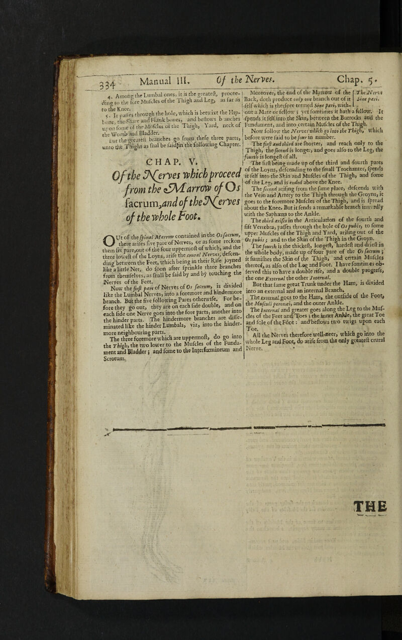 Manual ill, (if the NerVes. 334 ;_ 4 Among the Lumbal ones, it is the greateft, procee¬ ding to the fore Muffles- of the Thigh and Leg, as far as through the hole, which is betwixt the Htp- hont the Chare and Plank bones, and bellows b anches upon fome of the Mufcles of the Thigh, Yard, neck of the Womb and Bladder. , hut the grcatelt branches go iiom thele thiee puts, unto die Thighs as foal be faidjin thefollowing Chapter. CHAP. V. Of the fhfemes which proceed from the cfM arrow of Os facr um ,and of the^fefves of the whole Foot. Out of the [final Marrow contained in the Osfacrum, there arifes five pare of Nerves, or as fome reckon them fix pare,out of the four uppermoft of which, and the three low eft of the Loyns, arife the crural Nerves defceiv- ding between the Feet,, which being in their Rife joyned like a little Net, do foon after fpnnkle three branches from themfelves, as fhall be faid by and touching the Nerves of the Feet. Now the firjl pare of Nerves of Os facrum, is divided like the Lumbal Nerves, into a foremore and hmdermore branch. But the five following Pares otherwise. For be¬ fore they go out, they are on each fide double, and on each fide one Nerve goes into the fore parts, another into the hinder parts. The hindermore branches are difle- minated like the hinder Lumbals, viz, into the hinder- more neighbouring parts. The three foremore which are uppermoft, do go into the Thighj the two lower to the Mufcles of the Funda¬ ment and Bladder i and fome to theloteifoemmeum and Scrotum,, Chap. 5 Moreover, the end of the Marrow of the The Nerve Back, doth produce only one branch out of it Hint pari. .felf which is therfore termed Sine pari, with- , out a Mate or fellow ; yet fomtimes it hath a fellow. It fpends it felf into the Skin, between the Buttocks and the Fundament, and into certain Mufcles of the Thigh. Now follow the Nerves which go into the Thigh, which before were faid to be four in number. The firfl and third are fhorter, and reach only to the Thigh, the fecondh longer, and goes alfo to the Leg, the fourth is longed of all. The firft being made up of the third and fourth pares of the Loyns, defeending to the fmall Trochanter, fpends it felf into the Skin and Mufcles of the Thigh, and fome of the Lfr», and is ended above the Knee. The fecond arifing from the fame place, defeends with the Vein and Artery to the Thieh through the Groyns, ic goes to the foremore Mufcles oAhe Thigh, and is fipread about the Knee. But it fends a remarkable branch inwardly with the Saphaena to the Ankle. The third arifes in the Articulation of the fourth and fift Vertebra, pafles through the hole of Os pubis, to fome upper Mufcles of the Thigh and Yard, arifing out of the Os-pubis ; and to the Skin of the Thigh in the Groyn. l The fourth is the thickeft, longeft, hardeft and drieft in the whole body, made up of four pare of the Osfacrum $ it furnifhes the Skin of the Thigh, and certain Mufcles thereof, as alfo of the Log and Foot. I have fomtiir.es ob« ferved this to have a double rife, and a double progrefs, the one External the other Internal. . But that lame great Trunk under the Ham, is divided into an external and an internal Branch, The external goes to the Ham, the outfide of the Foot, the Mufculiperonxi, and the outer Ankle. The internal and greater goes along the Leg to the Muf¬ cles of the Feet and Toes ; the inner Ankle, the great Toe and foie of the Foot: andbeftows two twigs upon each Toe. All the Nerves therefore well-neer, which go into the whole Leg and Foot, do arife from die only gveateft crural Nerve.