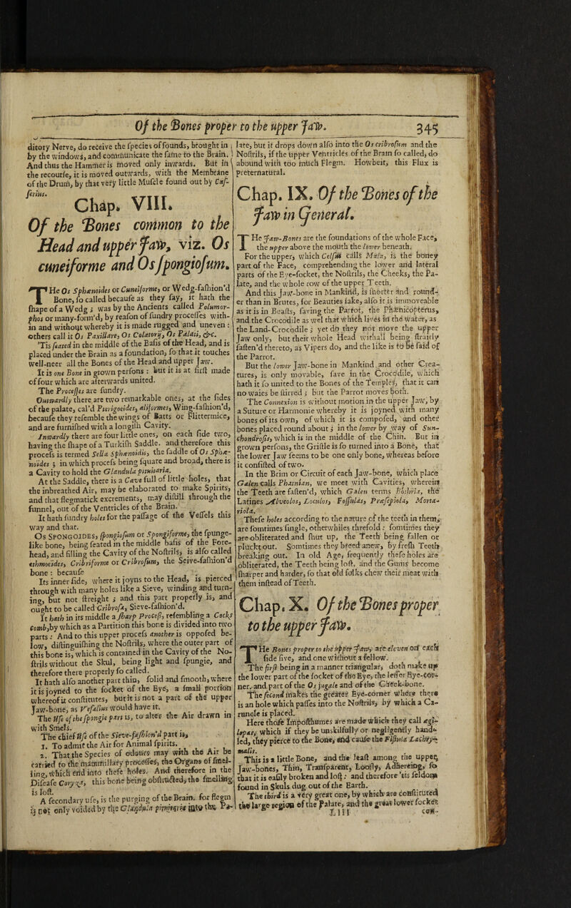 Of the Bones proper to the upper ditory Nerve, do receive the fpecies of founds, brought in , by the windows!, and communicate the fame to the Brain, i And thus the Hammer is moved only inwards. Bilt ifi the recoutfe, it is moved outwards, with the Membrane of the Drum, by that very little Mufcle found out by Caf fertus. _____ Chap. VIII. Of the ‘Bones common to the Head and upper faw, viz. Os cuneiforme and Os fpongiofum. THe Os Sphtenoides or Cuneiform, or Wedg-fafhion’d Bone, fo called becaufe as they fay, it hath the fhape of a Wedg i was by the Ancients called Polumor- phos or many-fomfd, by reafon offundry proccifcs with- in and without whereby it is made rugged and uneven : others call it Os Paxilla-re, Os Colatorij, Os Palati, &c. ’Tis [eased in the middle of the Bafis of the Head, and is placed under the Brain as a foundation, fo that it touches well-neer all the Bones of the Head and upper Jaw. It is one Bone in grown perfons : but it is at firft made offour which are afterwards united. The Proceffes are fundry. Outwardly there are two remarkable ones, at the hdes of the palate, cal’d Pterigoeides, aliformes, Wing-fafhion d, becaufe they refemble the wings of Batts or Flitterinice, and are furnifhed with a longitb Cavity. Inwardly there are four littie ones, on eacn fide two, having the fhape of a Tuvkifh Saddle, and therefore this proceTs is termed Sella Sph.-enoidis, the faddle of Os Spoxp no'ides ; in which procefs being fquare and broad* there is a Cavity to hold the G landula pttuitaria. At the Saddle, there is a Cave full of little holes, that the inbreathed Air, maybe elaborated to make Spirits, and that fiegmatick excrements, may dilull through the funnel, out of the Ventricles of the Brain. _ It hath fundry holes for the paflage of the VefTels this way and that. 'i Os SpongOIDES, (fongiofam or spongtfome, the fpunge- like bone, being feated in the middle bafis of the Fore¬ head, and filling the Cavity of the Noftnls, is alfo called tthmoeides, Cribriforme or Cribrofum, the Seive-fafhion d bone: becaufe , . , Its inner fide, where it joyns to the Head, is pierced through with many holes like a Sieve, winding and turn¬ ing, but not ftreight ; and this part properly is, and ought to be called ‘Cribrofa, Sieve-falhion'd. It hath in its middle a [harp Precef, refemblmg a Cocfs Comb,by which as a Partition this bone is divided into two parts : And to this upper procefs another is oppofed be¬ low, diftinpuifhing the Noflriis, where the outer part of this bone is, which is contained in the Cavity of the No- ftrils without the Skul, being light and fpungie, and therefore there properly fo called. It hath alfo another part thin, folid and fmooth, where it is ioyned to the focket of the Eye, a fmall portion whereof it conflitutes, but it is not a part of the upper Taw-bone, as Vefalius would have it. J The Hfe of the fpongie part is, to alter the Air drawn ui with Smels. The chief Ufe of the Sieve-faJfjtcn d part 1», i. To admit the Air for Animal fpirits. ■ - 2, That the Species of odours' may with the Air be tarried to the mammillary precede*, the Organs offmel- iing, which end into thefe hotes. And’ therefore in the Difeafe Coryga, this bone being obArufted,the fmellmg. ^ A fecondary ufe, is the purging of the Brain, for fiegm is only voided by the Clandjala pipirtqrit jjjtv T®* _345 late, but it drops down alfo into the Os cribroptm and the Noflriis, if the tipper Ventricles of the Brain fo called, do abound with too much Fiegm. Howbeit, this Flux is preternatural. Chap. IX. Of the Bones of the fare in General. THe faw-Bones are the foundations of the whole Face, the upper above the mouth the lower beneath. For the upper, which Celfut calls Mala, is the boney part of the Face, comprehending the lower and lateral parts of the Eye-focket, the Noflriis, the Cheeks, the Pa¬ late, and the whole row of the upper T eeth. And this Jaw-bone in Mankind, is fhorttr and round¬ er than in Brutes, for Beauties lake, alfo it is immoveable as it is in Beafts, faving the Partot, the Phamicopterus, and the Crocodile as wel that which lives it! the water, as the Land-Crocodile; yet do they not move the upper- jaw only, but their whole Head withall being ftraitly faften’d thereto, as Vipers do, and the like is to be faid of the Parrot. But the lower Jaw-bone in Mankind. and bther Crea¬ tures, is only movable, fave in the Crocodile, winch hath it fo united to the Bones of the Temple^, that it can no waies be ftirred ,• But the Parrot moves poth. The Connexion is without motion in the upper Jaw, by a Suture or Harmonie whereby it is joyned with many bones of its own, of which it is compofed, und other bones placed round about j in the lower by way of Sun- chondrofis, which is in the middle of the Chin. But in grown perfons, the Griftle is fo turned into a Bone, that the lower Jaw feems to be one only bone, whereas before it confided of two. In the Brim or Circuit of each Jaw-bone, which place Galen calls Phatnian, we meet with Cavities, wherein* the Teeth are fafien'd, which Galen terms Bothria, the Latines yilveolos, Locttlos, Fojfnlas, Pnefepiola, Mona- viola. . Thefe holes according to the nature of the teeth in them* are fomtimes fingle, otherwhiles threfold: fomtimes they are obliterated and Hurt up, the Teeth being fallen or plucktout. Somtimes they breed anew, by frefli Teeth breaking out. In old Age, frequently thefe holes are obliterated, the Teeth being loft, and the Gums' become [harper and harder, fo that old folks chew their meat with them inftead of Teeth. Chap. X. to the upper f aw. roper fmT^ He Bones proper to the upper fans, are eleven orf each fide five, and one without a fellow. The firjl bein g in a manner triangular, doth make up the lower part of the focket of the Eye, the leiier Eye-Ct>r- ner. and, part of the Os jugale and of the Cheek-bone. The fecond makes the greater Eye-corner where there is an hole which pafles into the Noftrils, by which a Ca¬ runcle is placed. ' ^ Here thoie Impofthuraes are made which they call £gi- Itpas, which if they be unskilfully or negligently hand* led, they pierce to the Bone, end caufe the FifitH* Lacbry~ mails. This is a little Bone, and the feaft among the uppc$ Jaw-bones, Thin, Tranfparent, Looily, Adhereing, fo that it is eafily broken and lofj; and therefore his fcldoip found in Skuls dug out of the Earth. The third is a very great one, by which are coBftitutccl thff large reeidB of the Palate, and the gvwf lower focket * Tin cun-