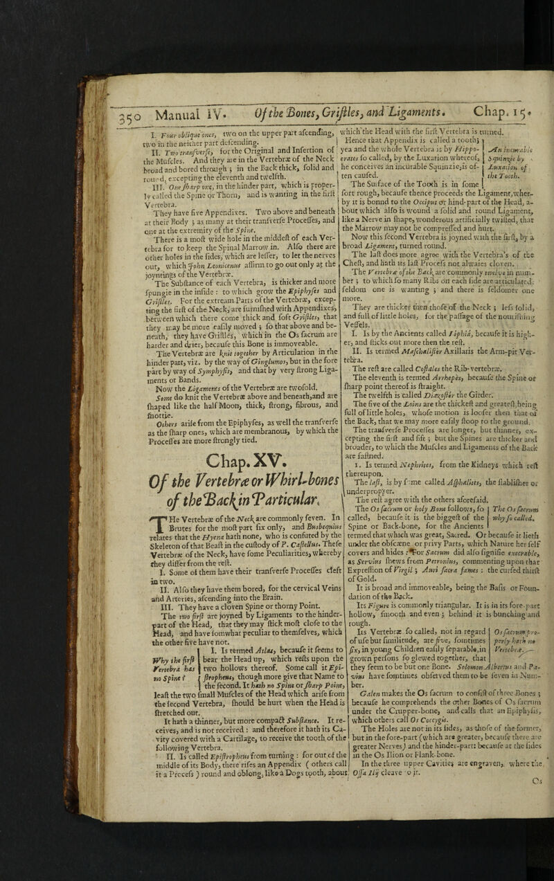 jMflaij T* ifj Pi fi'-'lr m 35° Manual Of the Bones, Grifiles, and Ligaments* . _ ' _ . ..,....... W ! h fi 'li1 i M 1 Vi y 3 TS! ; J irf .l‘! I K> '',l ■ ';J m fili IV i '.frl .fjl'J ill ,:»} ik i i ,5; -.t i ' ft i \'.4 TnTFt i A I I Four oblique ones, two. on the upper part amending, which'the Head with the firft Vertebra is turned, two in the neither part defending. j Hence that Appendix is called a tooth} II Two tranfverfe, for the Original and Infertion of . yea and the whole Vertebra is by Hippo- the Mufcies. And they aie in the Vertebras of the Neck crates fo called, by the Luxation whereof, broad and bored through ; in the Back thick, folid and t he conceives an incurable S^uinzie,is of- roued, excepting the eleventh and twelfth. III. OneJbarp one, in the hinder part, which is proper- j Iy called the Spine or Thorn, and is wanting in the firit Vertebra. They have five Appendixes. Two above and beneath at their Body ; as many at their tranfverfe Proceffes, and one at the extremity of the Spine. There is a mod wide hole in the middeft of each Ver¬ tebra for to keep the Spinal Marrow in. Alfo there are other holes in the Tides, which are leffer, to let the nerves out, which -jfohn Leonhenus affirm to go out only at the joyntinas of the Vertebrae. The Subftance of each Vertebra, is thicker and more fpungie in the infide : to which grow the Epiphyfes and Grijiles. For the extreamParts of the Vertebrae, excep¬ ting the firft of the Neck, are furmfhed with Appendixes, between which there come thick and (oh Grijiles, that they ir.ay be more eafily moved $ fo that above and be¬ neath, they have Grifiles, which in the Os facrum are harder and drier, becaufe this Bone is immoveable. The Vertebrae are hyiit together by Articulation in the hinder part, viz. by the way of Ginglumos, but in the fore part by way of Symphyfis, and that by very flrong Liga¬ ments or Bands. Now the Ligaments of the Vertebrae are twofold. Some do knic the Vertebrae above and beneath,and are fhaped like the half Moon, thick, flrong, fibrous, and fhottje. Others arife from the Epiphyfes, as well the tranfverfe as the fharp ones, which are membranous, by which the Proceffes are more flrongly tied. Chap. XV. Of the Vertebra or Whirl-hones of tke’Backjn Tarticular, THe Vertebrae of the Necfiare commonly feven. In Brutes for the mod part fix only, and Busbequius relates that the Hyena hath none, who is confuted by the Skeleton of that Bead in the cuflody of ?. Caflellus. Thefe Vertebrae of the Neck, have fome Peculiarities, whereby fhey differ from the reft. I. Some of them have their tranfverfe Proceffes cleft in two. ... II. Alfo they have them bored, for the cervical Veins and Arteries, afeending into the Brain. III. They have a cloven Spine or thorny Point. The two firft are joyned by Ligaments to the hinder- part of the Head, that they may flick mod clofe to the Head, and have iomwhat peculiar to themfelves, which the other five have not. I. Is termed Atlas, becaufe it Teems to Why the firft bear the Head up, which reds upon the Vertebra has two hollows thereof. Some call it J£pi- »q Spine t flrophens, though more give that Name to the fecond. It hath no Spine or fharp Point, lead the two fmall Mufcies of the Head which arife from the feepnd Vertebra, fhould be hurt when the Head is ftretched out. It hath a thinner, but more compatt Subftance. It re¬ ceives, and is not received : and therefore it hath its Ca¬ vity covered with a Cartilage, to receive the tooth, of the following Vertebra. II. Is called Epiftrspheus from turning : for out of the middle of its Body, there nfes an Appendix ( others call it a Prccefs ) round and oblong, like a Dogs tiaoth, about ! in cm able S quince by \ Litxaiion of the Tooth. ten caufed. The Suiface of the Tooth is in fome fort rough, becaufe thence proceeds the Ligament,whcr- by it is bonnd to the Occiput or hind-part of the Head, a- bout which alfo is wound a folid and round Ligament, like a Nerve in fliape, wonderous artificially twilled, that the Marrow may not be compreffed and hurt. Now this Tccond Vertebra is joyned with the firft, by a broad Ligament, turned round. The laft does more agree with the Vertebra’s of the Cheft, and hath its laft Procefs not alwaies cloven. The Vertebra: of the Backdate commonly twelve in num¬ ber ; to which fo many Ribs on each fide are articulated. feldoru one is wanting ; and there is feldomer one more. They are thicker then thofe of the Neck ; lefs (olid, and full of little holes, for the paffage of the nouiffhiuo Veffels. I. Is by the Ancients called Jiphia, becaufe it is high¬ er, and flicks out more then the reft. II. Is termed Mafchalifler Axillaris the Arm-pit Ver- tehra. The reft are called Coftales the Rib-vertebrae. The eleventh is termed Arrhepes, becaufe the Spine of fharp point thereof is flraighr. The twelfth is called Diattpftlr the Girder. The five of the Loins are the thickefl and greateft. being full of little holes, whofe motion is loofer then that of the Back, that we may more eafily ftoop to the ground. The tranfverfe Proceffes are longer, but thinner, ex¬ cepting the firft andfift; but the Spines are thicker anti broader, to which the Mufcies and Ligaments of the Back are faftned. x. Is termed Nephrites, from the Kidneys which reft thereupon. The lajl, isbyffme called Affihalites, the ftabliiher or underprop”/er. The reft agree with the others aforefaid. The Os facrum or holy Bone follows, fo The Os facrum called, becaufe it is the biggeft of the why fo called. Spine or Back-bone, for the Ancients termed that which was great, Sacred. Or becaufe it lietfi under the obfewne or privy Parts, which Nature her felf covers and hides .-^For Sacrum did alfo fignifie execrable, as Servins fhews from Petronius, commenting upon that Expreffion of Virgil; Anri facra fames : the curled third of Gold. It is broad and immoveable, being the Bafis or Foun¬ dation of the Back. Its Figure is commonly triangular. It is in its fore part hollow, fmooth and even $ behind it is bunching and rough. Its Vertebrae fo called, not in regard Os facrum pror of ufe but finiilitude, are jive, fomtimes per/y hath no fix, in young Children eafily feparab!e,in Votebr.e^ grown perfons foglewed together, that ' they feem to be but one Bone. Solomon Albcrtus and Pa- vivts have fomtimes obferved them to be feven ia Num¬ ber. Galen makes the Os facrum to confift of three Bones *, becaufe he comprehends the other Bones of Os facrum under the Crupper-bone, and calls that anEpiphyfis, which others call Os Coccyges. The Holes are not in its fides, as thofe of the former, but in the fore-part (which ar# greater, becaufe there are greater Nerves) and the hinder-part: becaufe at the Tides in the Os Ilion or Flank-bone. In the three upper Cavities arc engraven,, where the Ofja Jlij cleave o it. Os