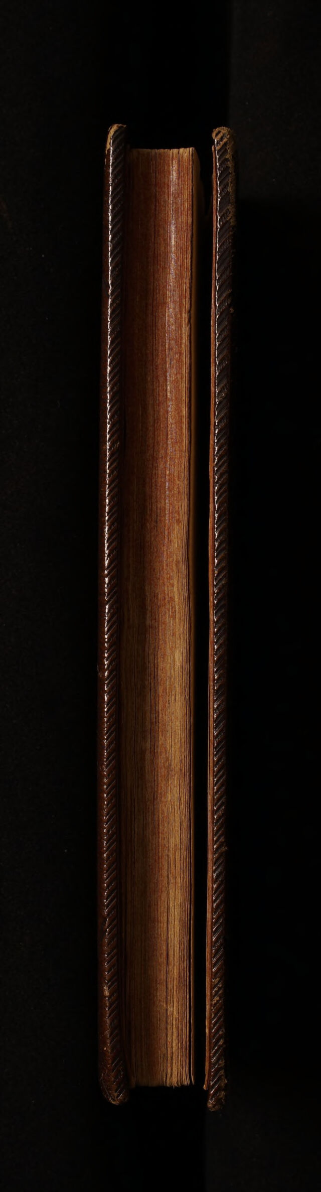 No text description is available for this image