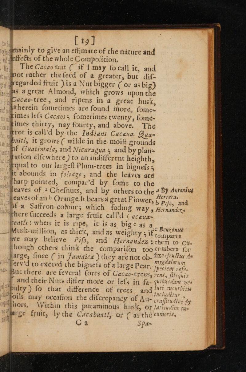 [19] Lov mhainly to give an eftimate of the nature and pj metres of the whole C ompoficion, ) TheCacao nut ( if | may focall it, and motrather chefeed of a greater, buc dif- eguwregarded fruic )is a Nut bigger ( or as big) was agreat Almond, which grows upon the ,,wicacao-tree, and ripens in a great husk, nim’herein fometimes are found more, fome« dimes le(s Cacaos, fometimes twenty, fome- times thirty, nay fourty, and above. The Prree is call’d by the Indians Cacana Qua- ypiitl, i grows ( wilde in the. moift grounds WL Guatintala, and Nicaragua , and by plan ‘Hation elfewhere ) co an indifferent heighth, Wequalco our largeft Plum-trees in bignefs 5 ‘Mt abounds in folzage, and the leaves are @harp-pointed, compar’d by fome tothe | , Reaves of 4 Chefnuts, and by others tothe 4 BY Antonius eaves of an b Orange,Ic bears 4 preat Flower, bP ofacs a pf a Saffron-cofour; which fading way , Hernandez: “Phere fucceeds a large fruic call’d Cacaug- yeatl:: when it is ripe, it is as bige as a | 5 Py ape lye FO Hsi9 . eC Benz onus _(Musk-million, as chick, and as weighty 5 if compares Hye may believe Pifo, and Hernandez: them to Cii- though others chink che con parifon too cumbers for flarge, fince ( in Famaica ) they are not ob- rst ee ‘Werv’d co exceed the bignefs of a large Pear, nape ste Bucthere are feveral forts of Cacao-treess rens, filiquis # and cheir Nuts differ more or Iefs in f2- quibusdam ues ' kulty) fo chac difference of crees and Mtl cucurbitis A ’ ° Fn includitur ; yoils may occafion che difcrepancy of Au- craffitudine dap “hors. Wichin this pucaminous husk, Or /aticudine cys ‘“erge fruit, ly che Cacahuatl, or ( as the cumeris. | G2 Spa-