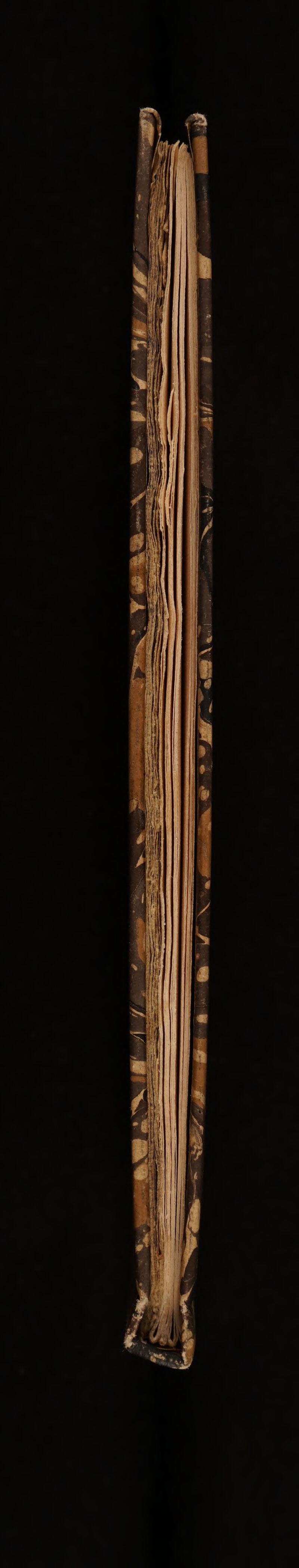 No text description is available for this image