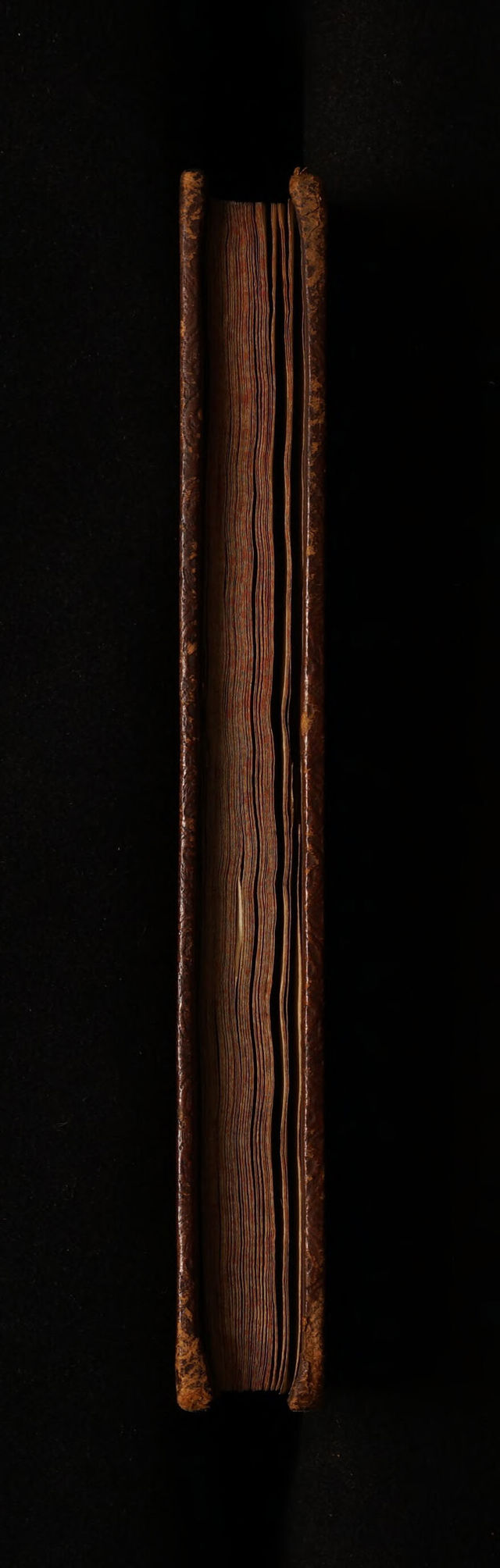 digitised image 3