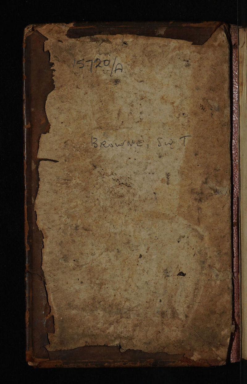 No text description is available for this image