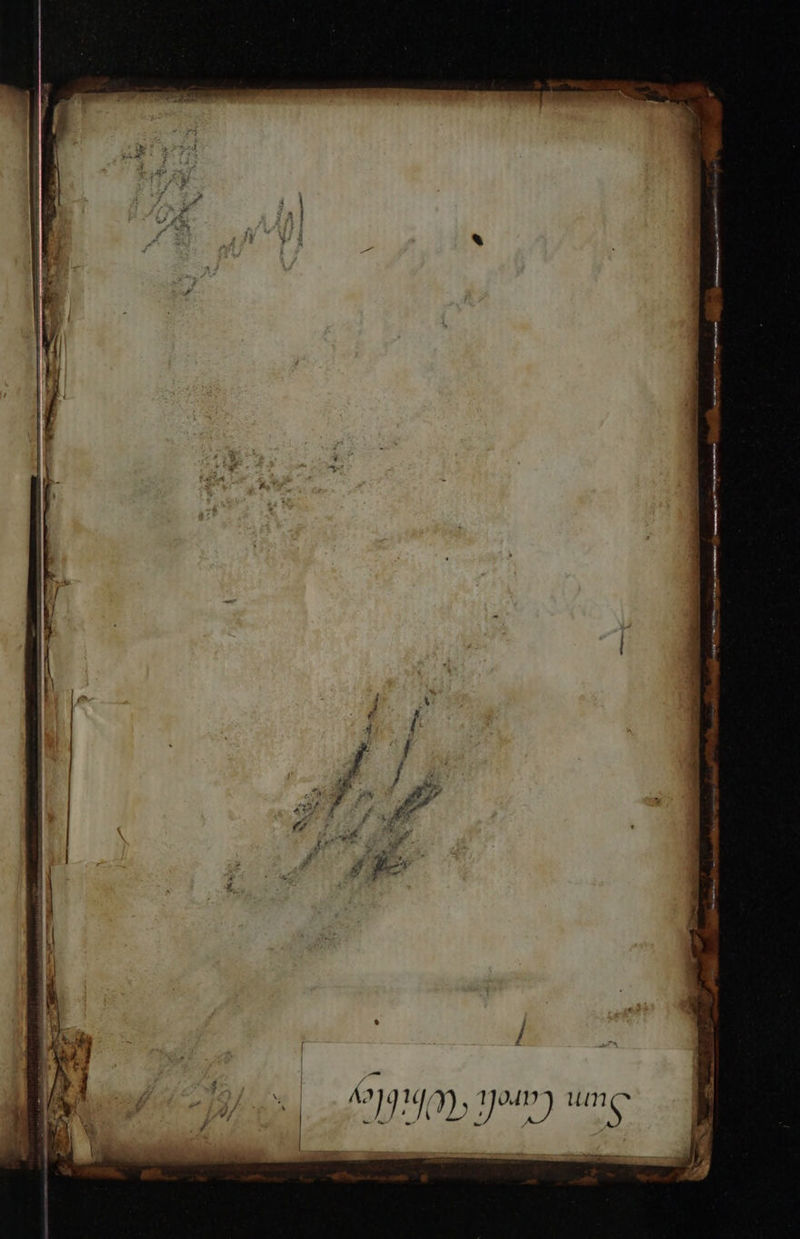 — —— - _ ~~ =, = ay 