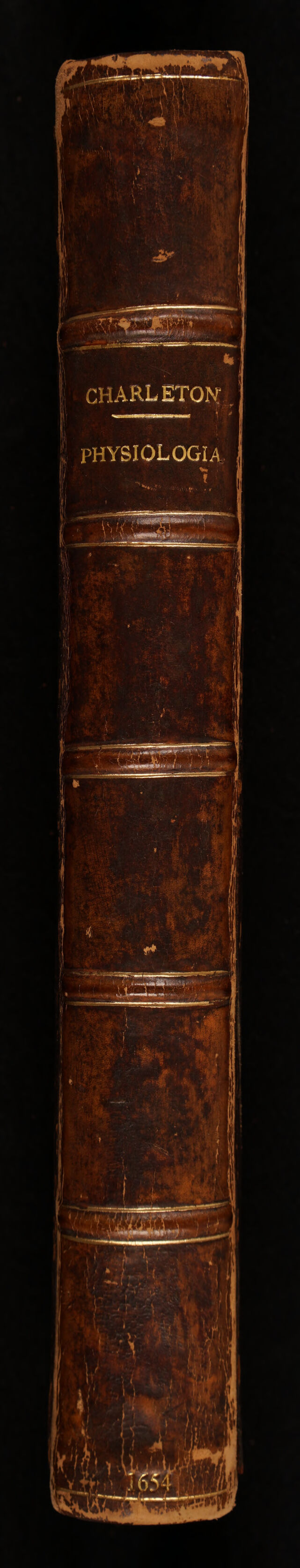 No text description is available for this image