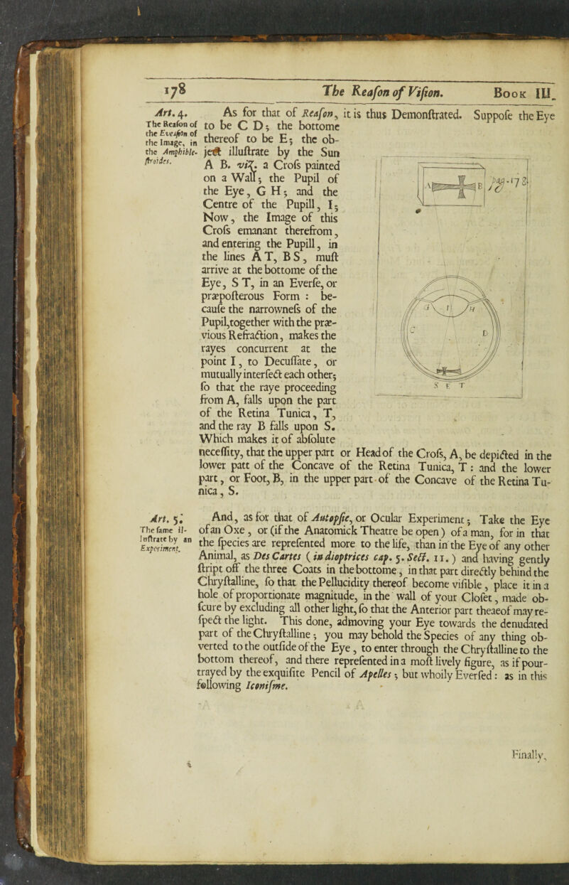 *7^ of Vifion. Book IU. As for that of Reafon^ it is thus Demonftrated. Suppofe the Eye ThcReafonof to be C Dj the bottomc [hefmagcTiii thereof to be E 5 the ob- thc Amphibie- jc# illuftratc by the Sun friid,,. j (-i-og on a WaU 5 the Pupil of the Eye, G H 5 and the Centre of the Pupill, 15 Now, the Image of this Crofs emanant therefrom, and entering the Pupill, in the lines AT, BS, muft arrive at the bottome of the Eye, S T, in an Everfe, or praepofterous Form : be- caufe the narrownefs of the Pupil,together with the pra?- vious Refraftion, makes the rayes concurrent at the point 13 to DeculTate, or mutually interfe(51: each other; lb that the raye proceeding from A, falls upon the part of the Retina Tunica, T, and the ray B falls upon S. Which makes it of abfolute neceflity, that the upper part or Head of the Crofs, A, be depi^ed in the lower patt of the Concave of the Retina Tunica, T: and the lower part, or Foot,B, in the upper part* of the Concave of the Retina Tu¬ nica , S. Art. 5, And, as for that o^Autffpfa^ot Ocular Experiment; Take the Eye The fame ii- ofoii Oxe, or (if the Anatomick Theatre be open) ofa man, for in that the fpecies are reprefented more to the life, than in'the Eye of any other Animal, as DesCartes (ijadioptrices cap. 5. Se^. ii,) and having gently ftript off the three Coats in the bottome, in that part dire<frly behind the Chryftalline, fo that the Pellucidity thereof become vifible, place it in a hole of proportionate magnitude, in the wall of your Clofet, made ob- (cure by excluding all other light, lb that the Anterior part theaeof may re- fped the light. This done, admoving your Eye towards the denudated part of the Chryftalline; you may behold the Species of any thing ob- verted to the outfideofthe Eye, to enter through the Chryftalline to the bottom thereof, and there reprefented in a moft lively figure, asifpour- trayed by theexquifite Pencil of Apelles; but whoily Everfed: as in this fallowing Icffnifme. i Final !v\