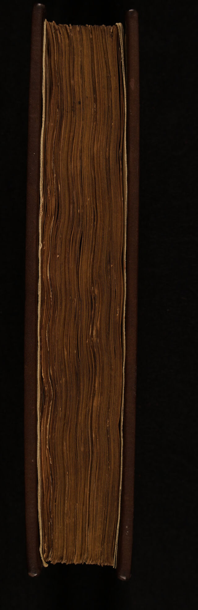 digitised image 3